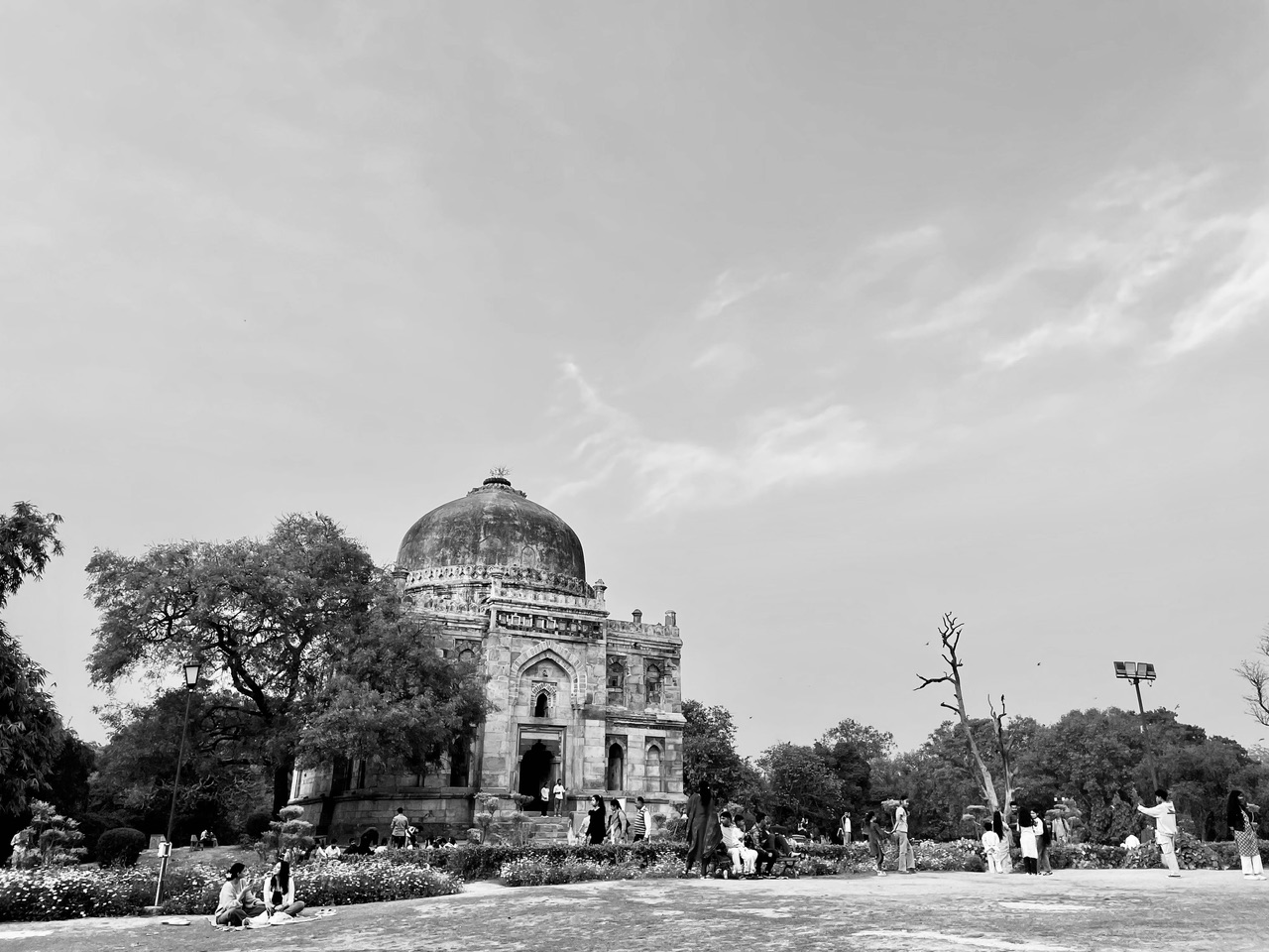 IMG_8122.jpeg