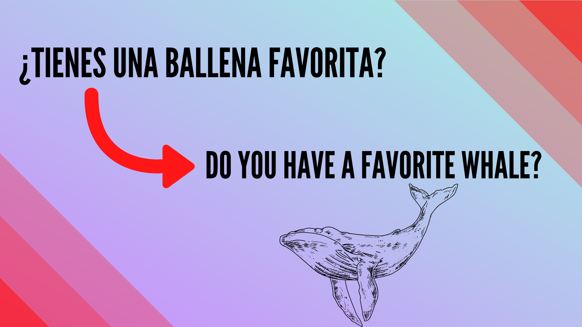 ¿Tienes una ballena Favorita.png