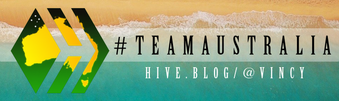 team-australia-hive-badge-slim-beach-hive.blog-vincy.png