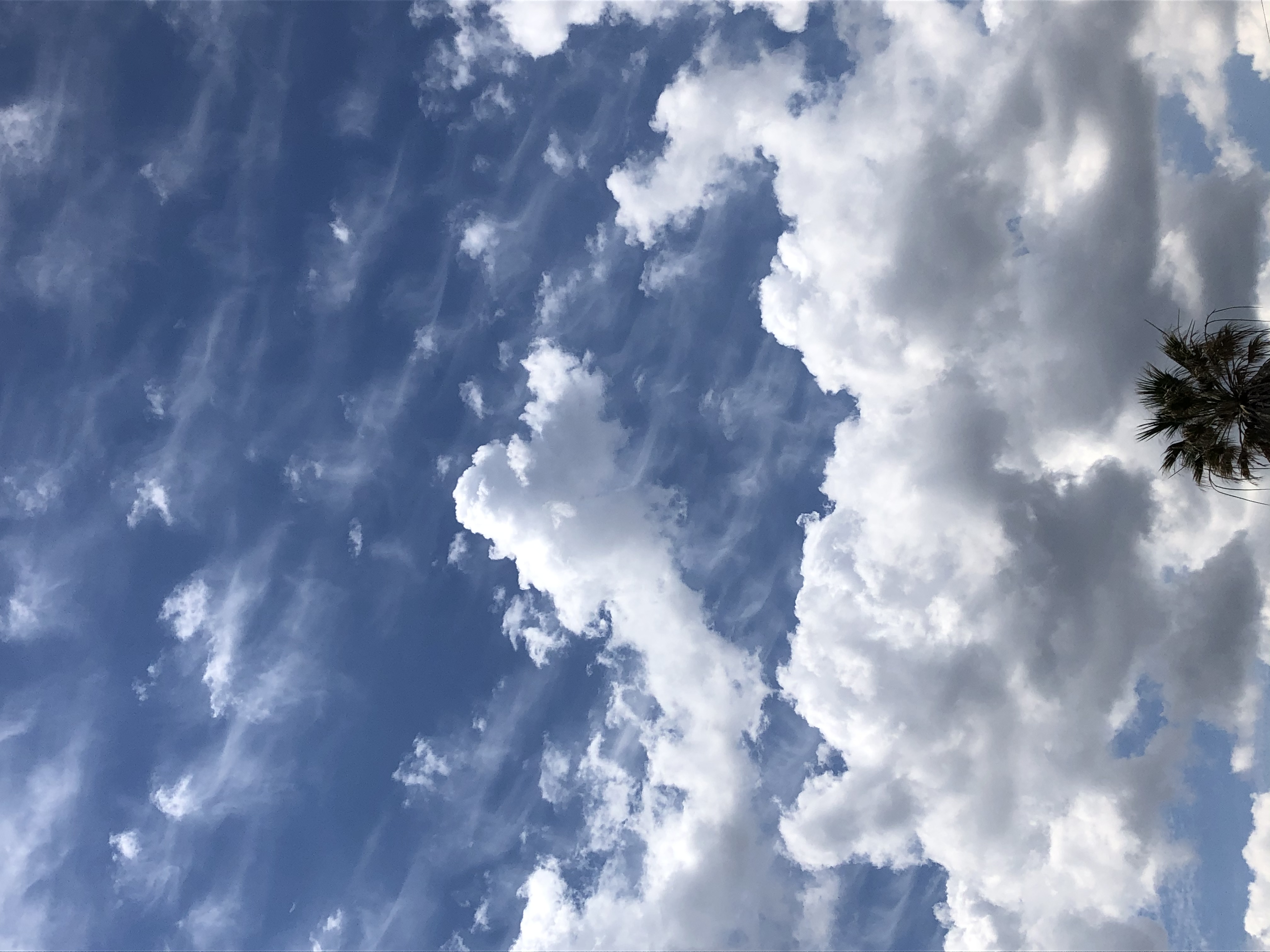 6AE1245D-3F40-48BC-BC38-B52D50E2C553.jpeg