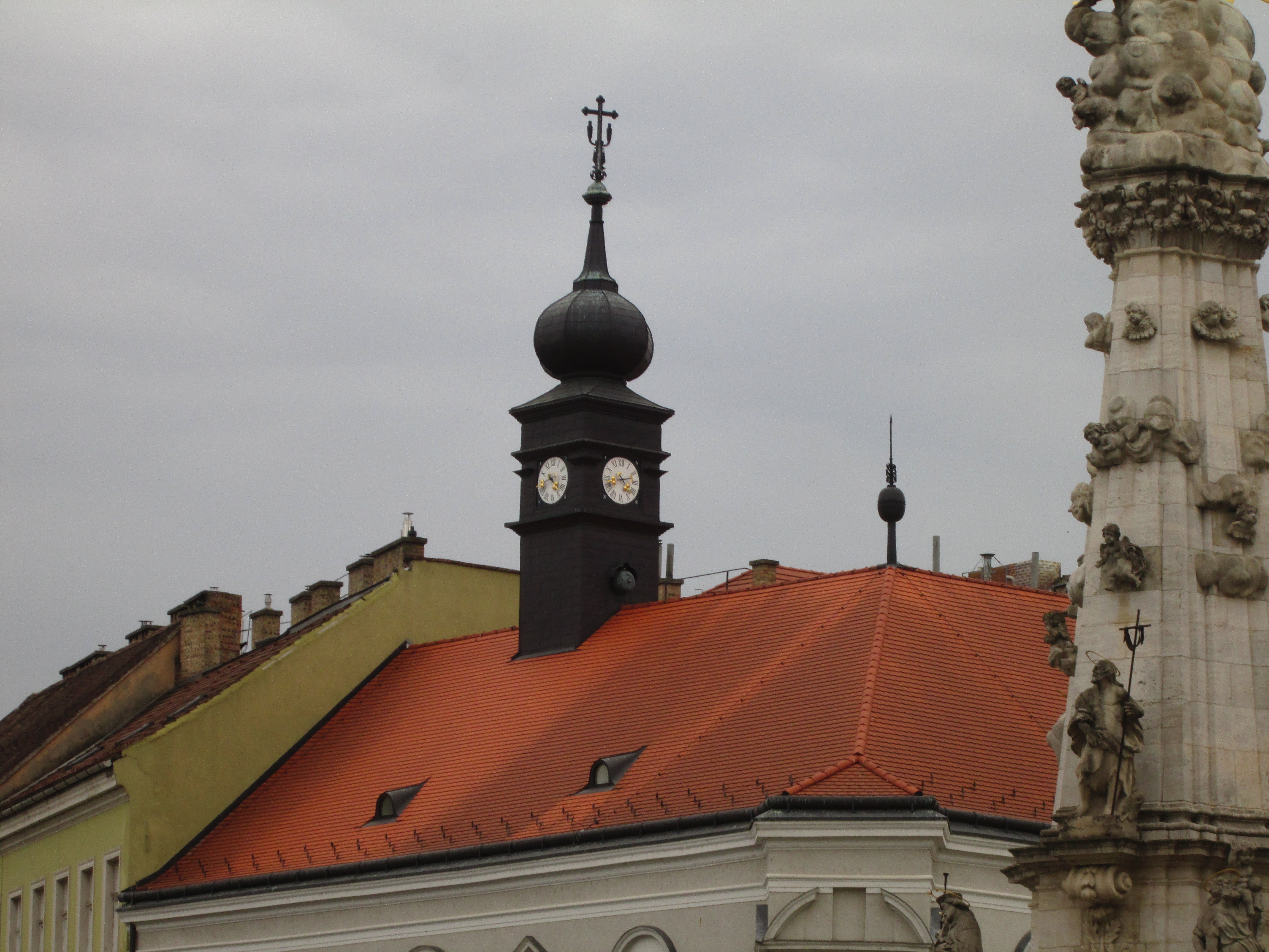 IMG_2981.JPG