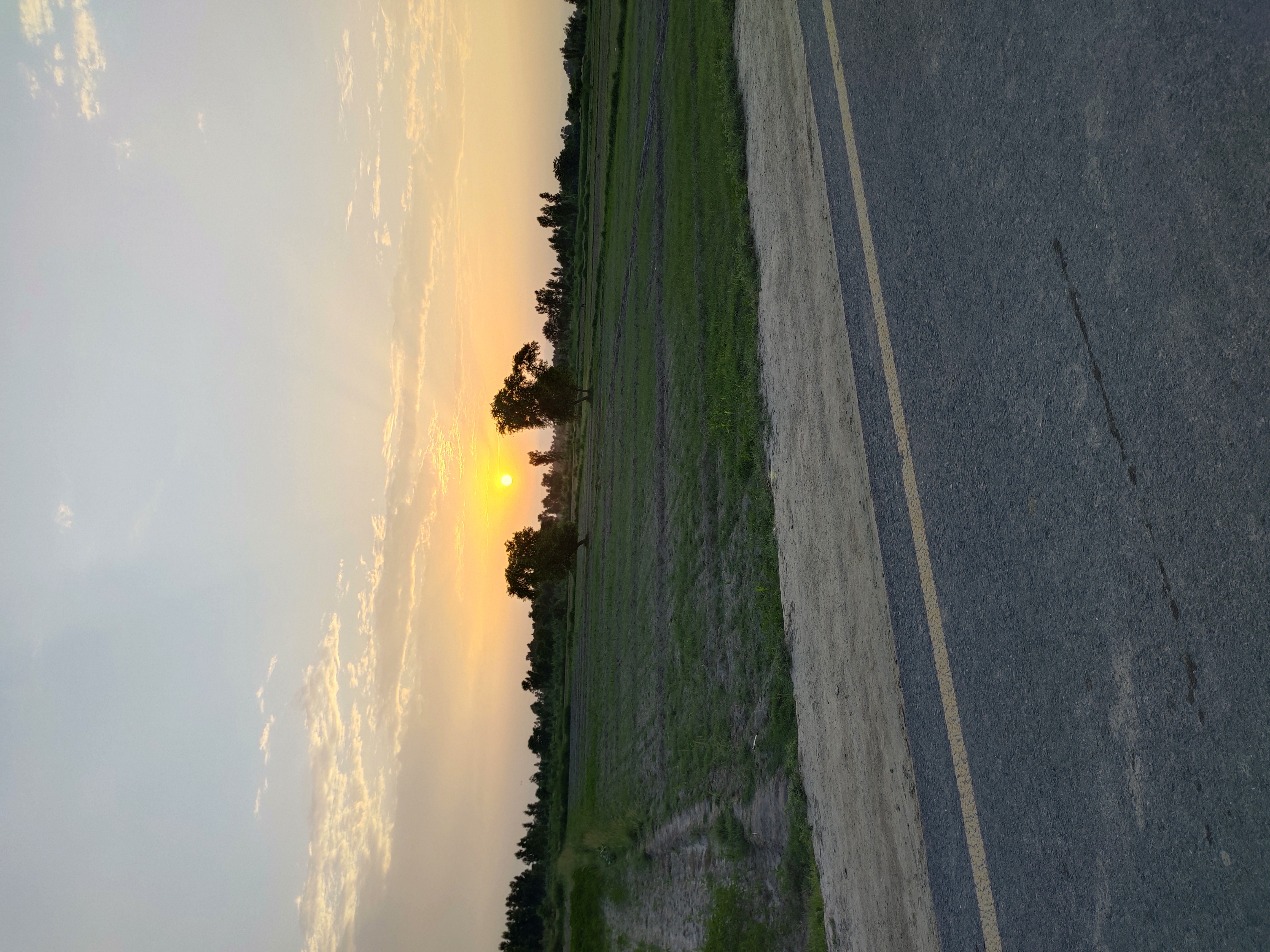 IMG_20220801_185238.jpg