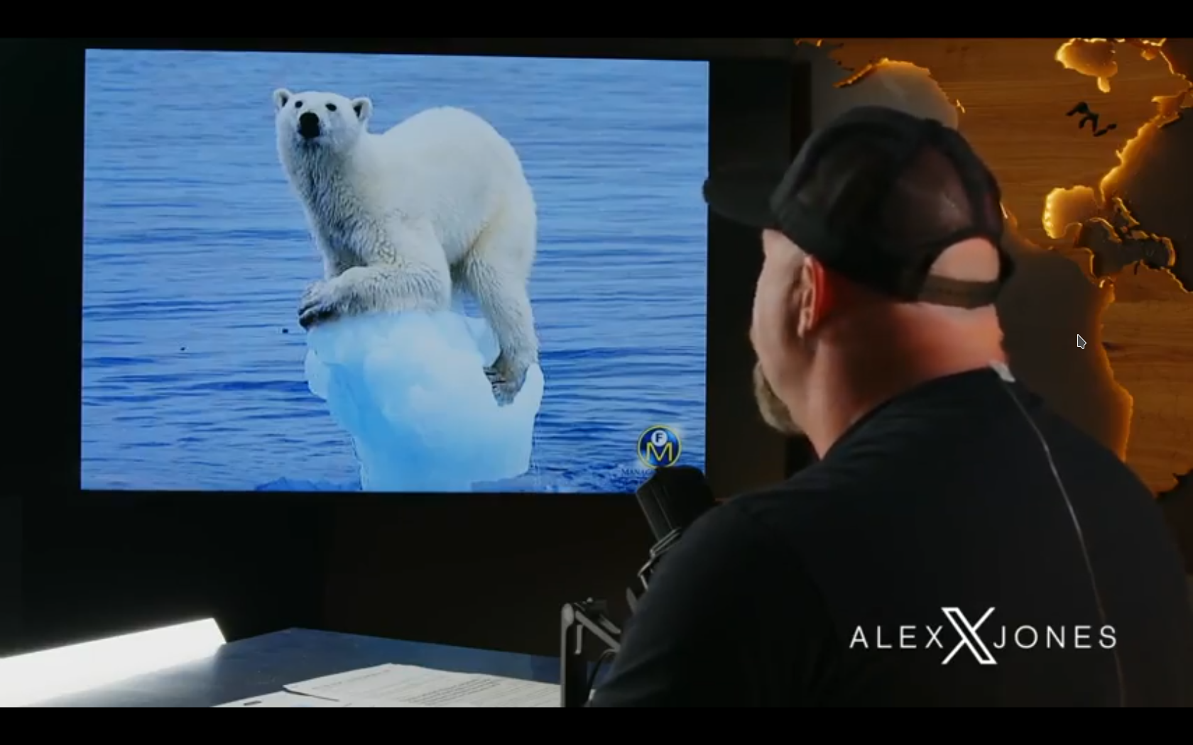 Screenshot at 2025-06-15 00-51-38 Polar Bear.png