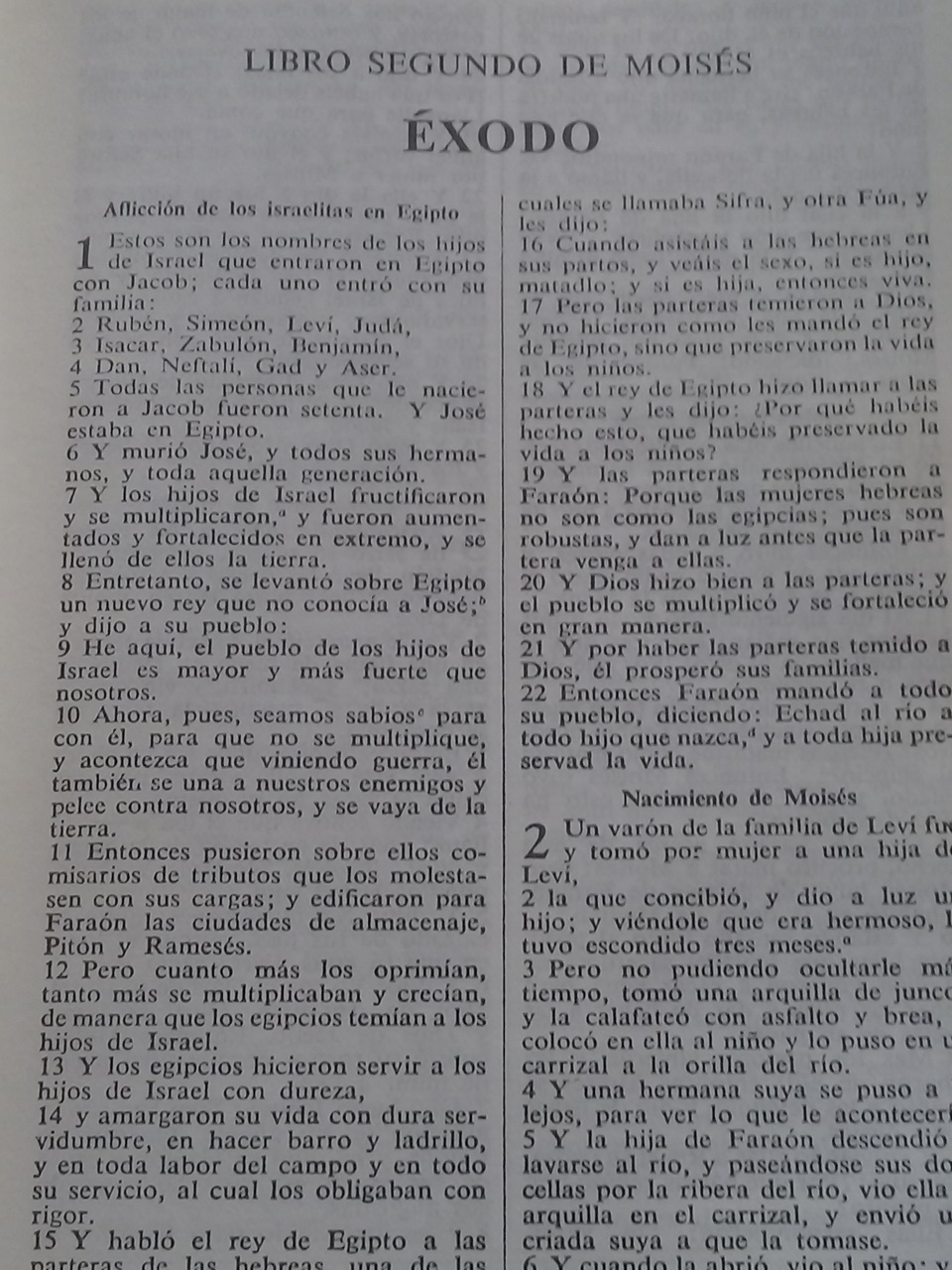EXODO BBLIA (960x1280).jpg