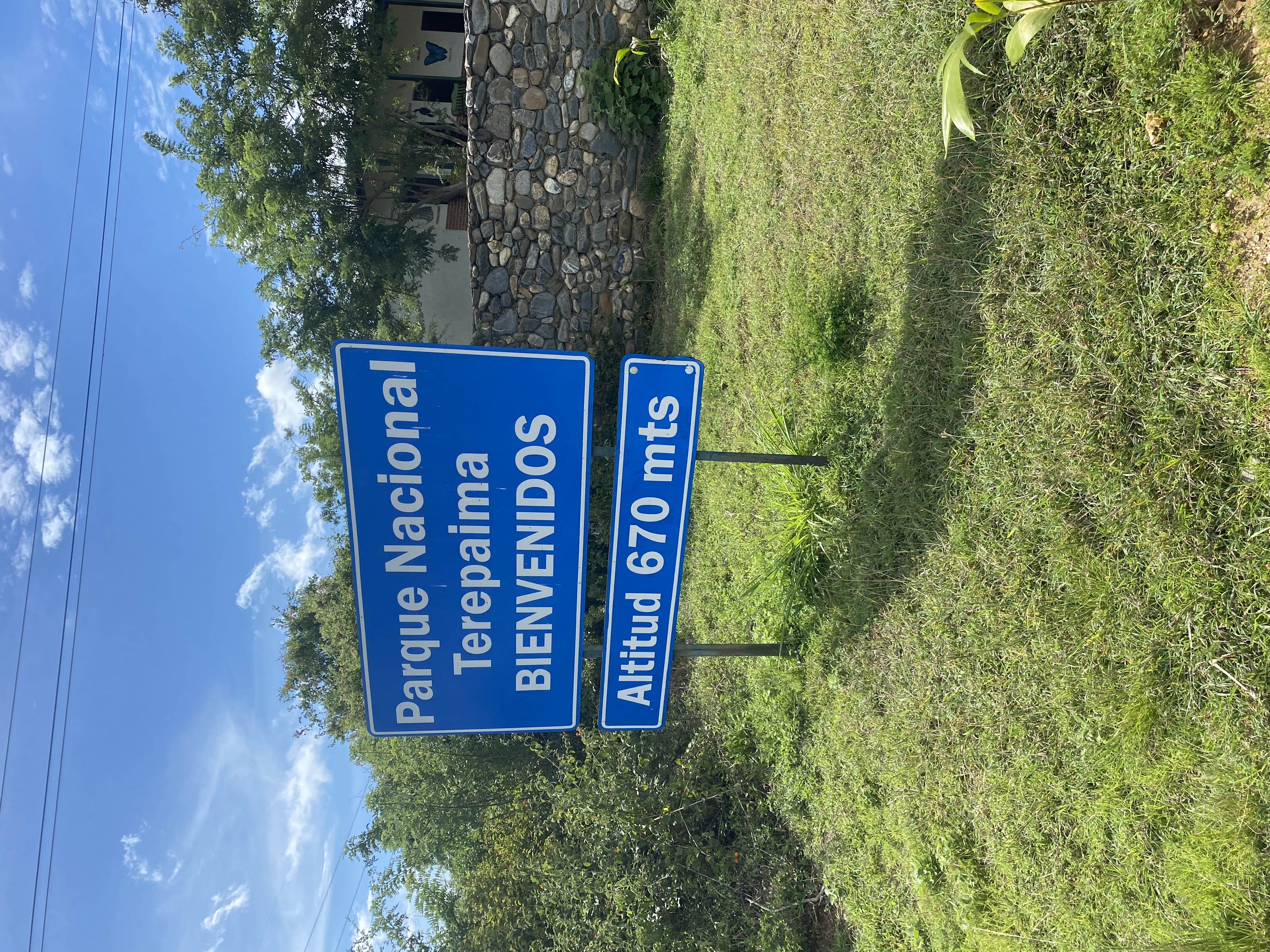 IMG_9998.jpeg
