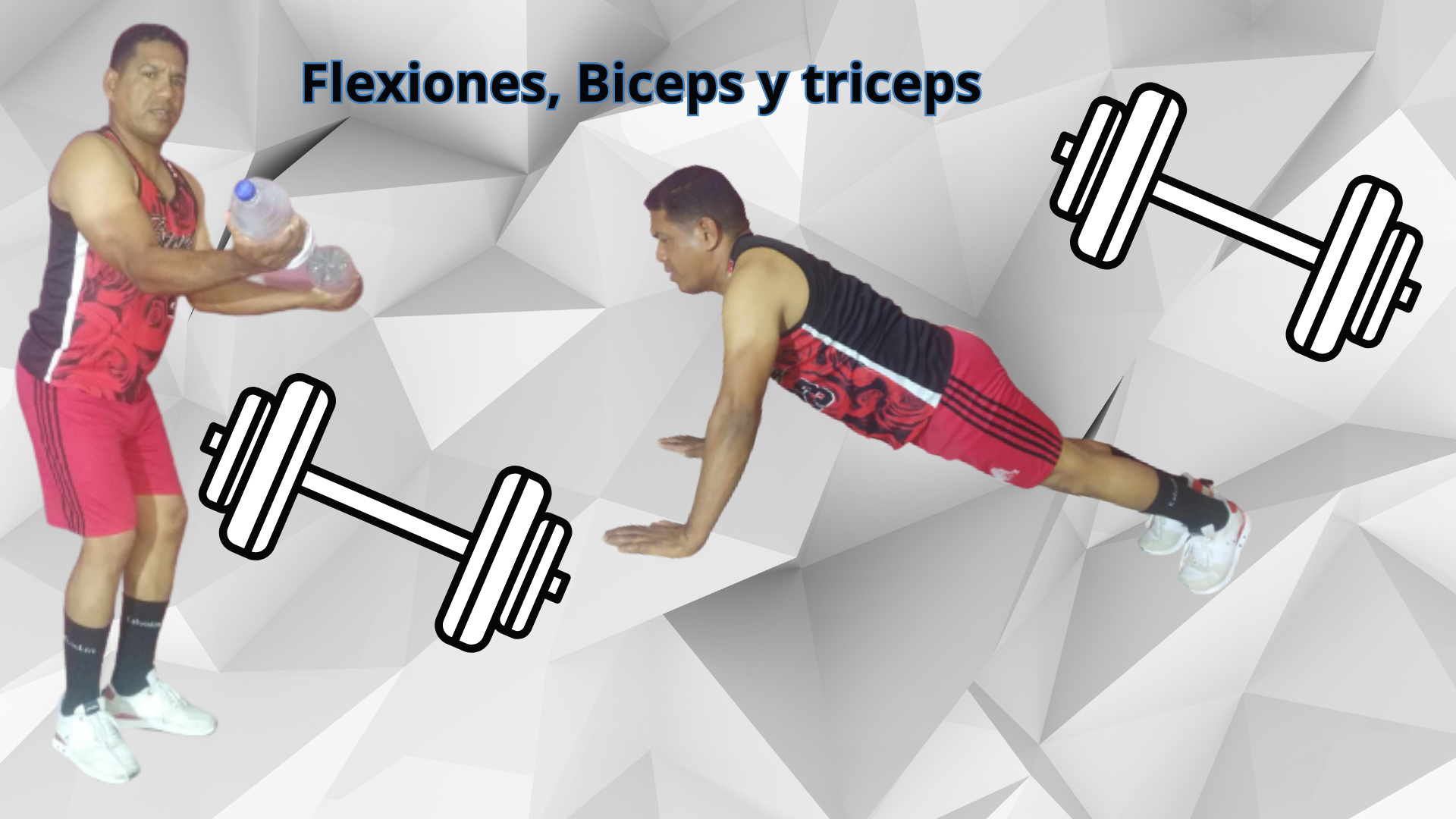 Flexiones, Biceps y triceps.png