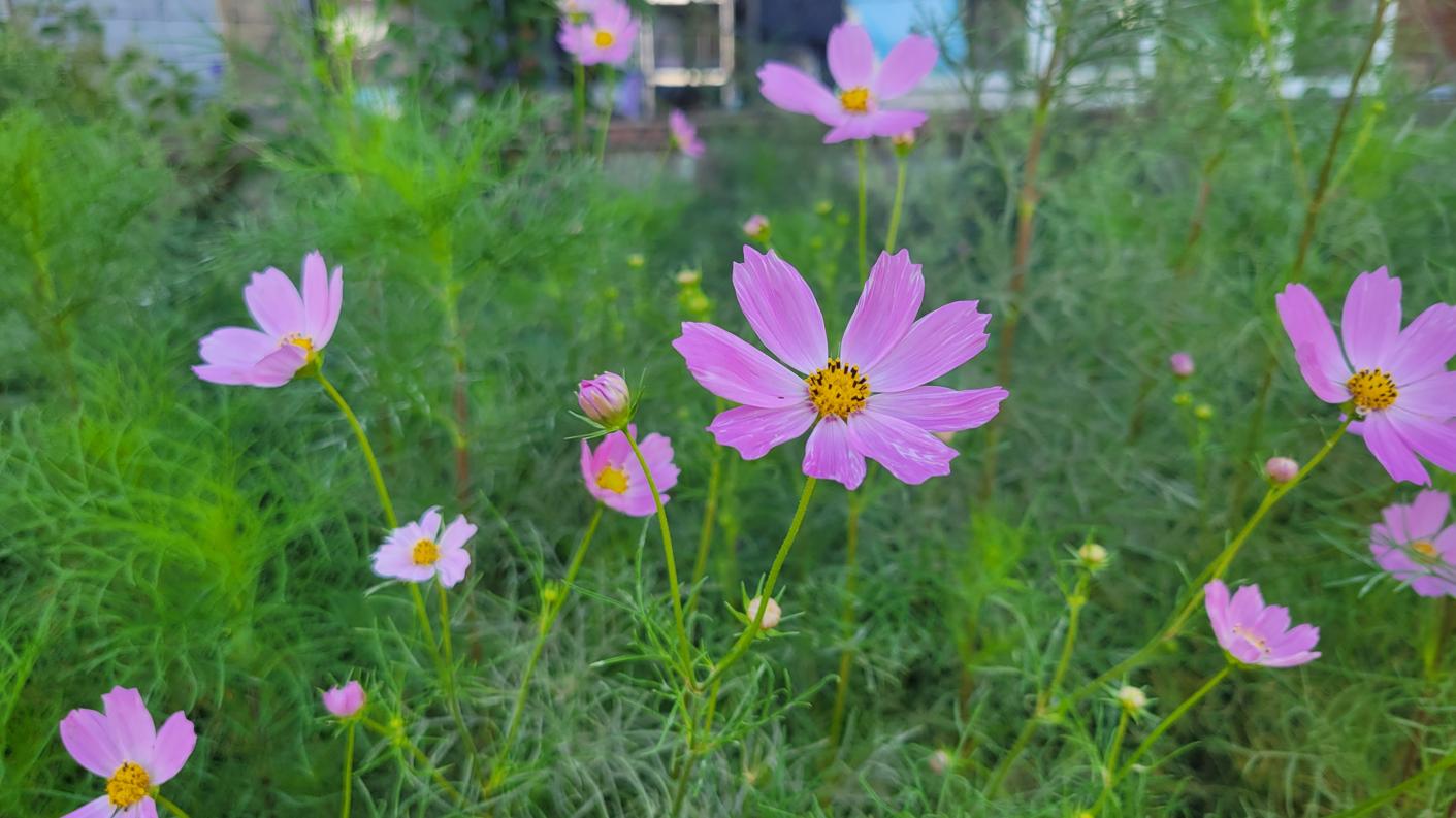 20250908_084152.jpg