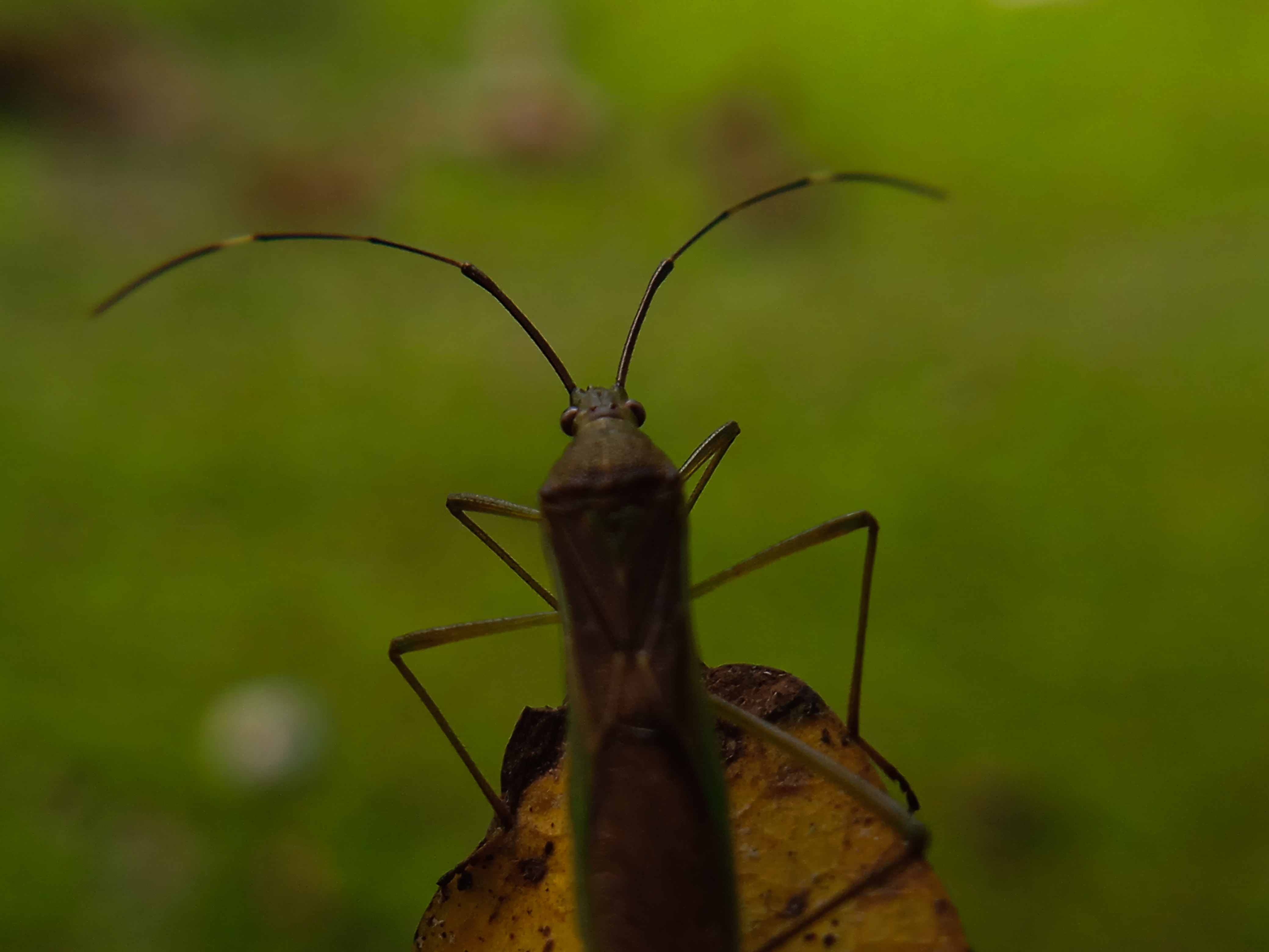IMG_20220125_214222.jpg
