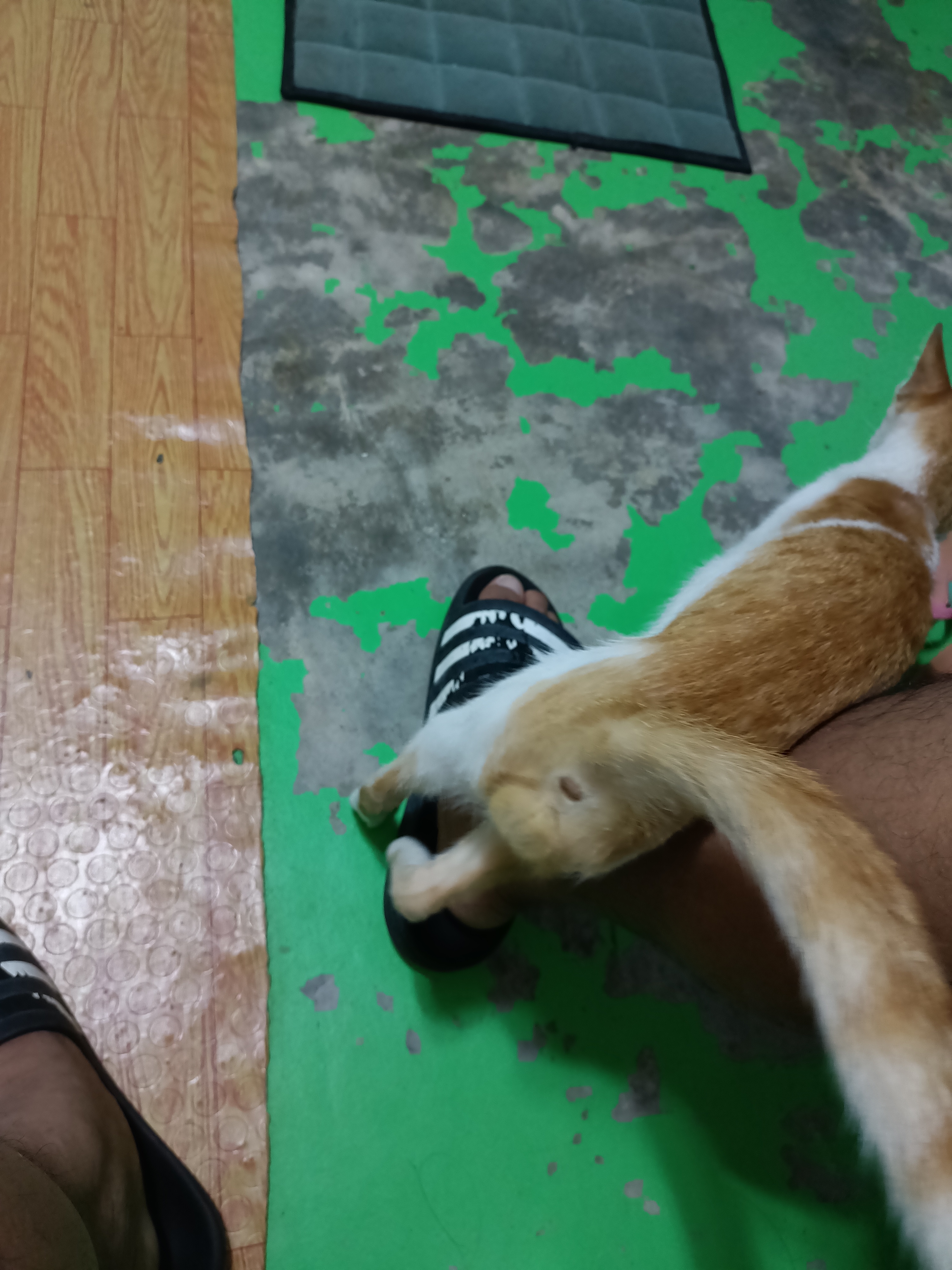 IMG20221014095554.jpg