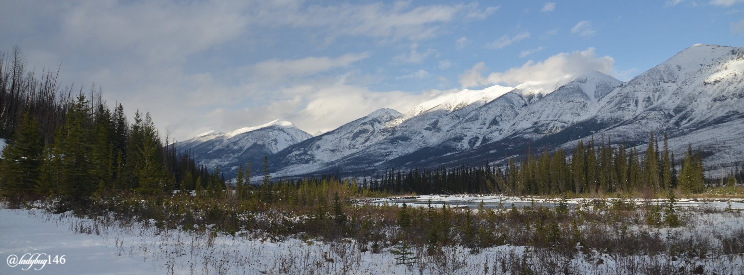 kootenay valley viewpoint (2).jpg