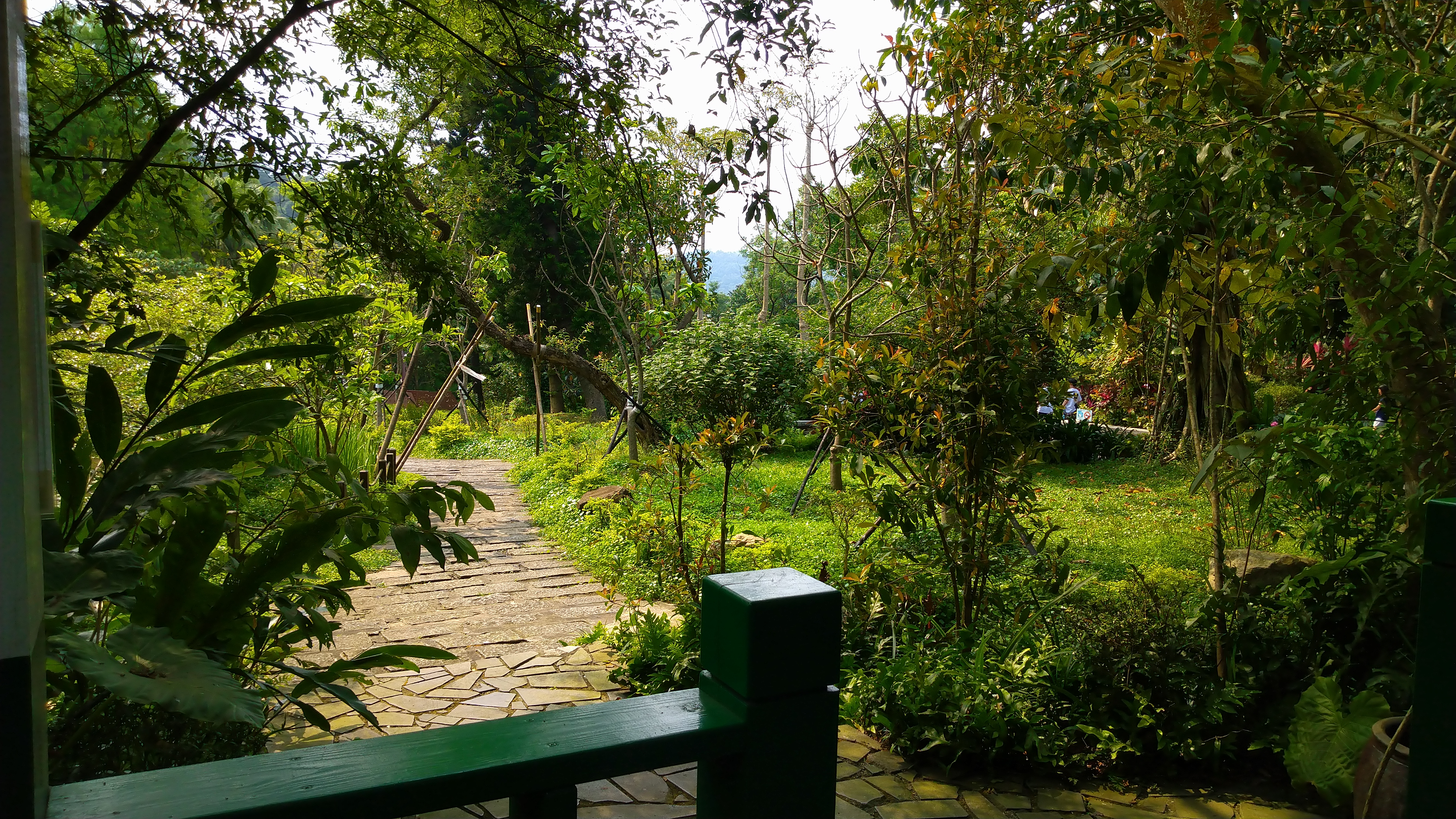 DSC_1157.JPG