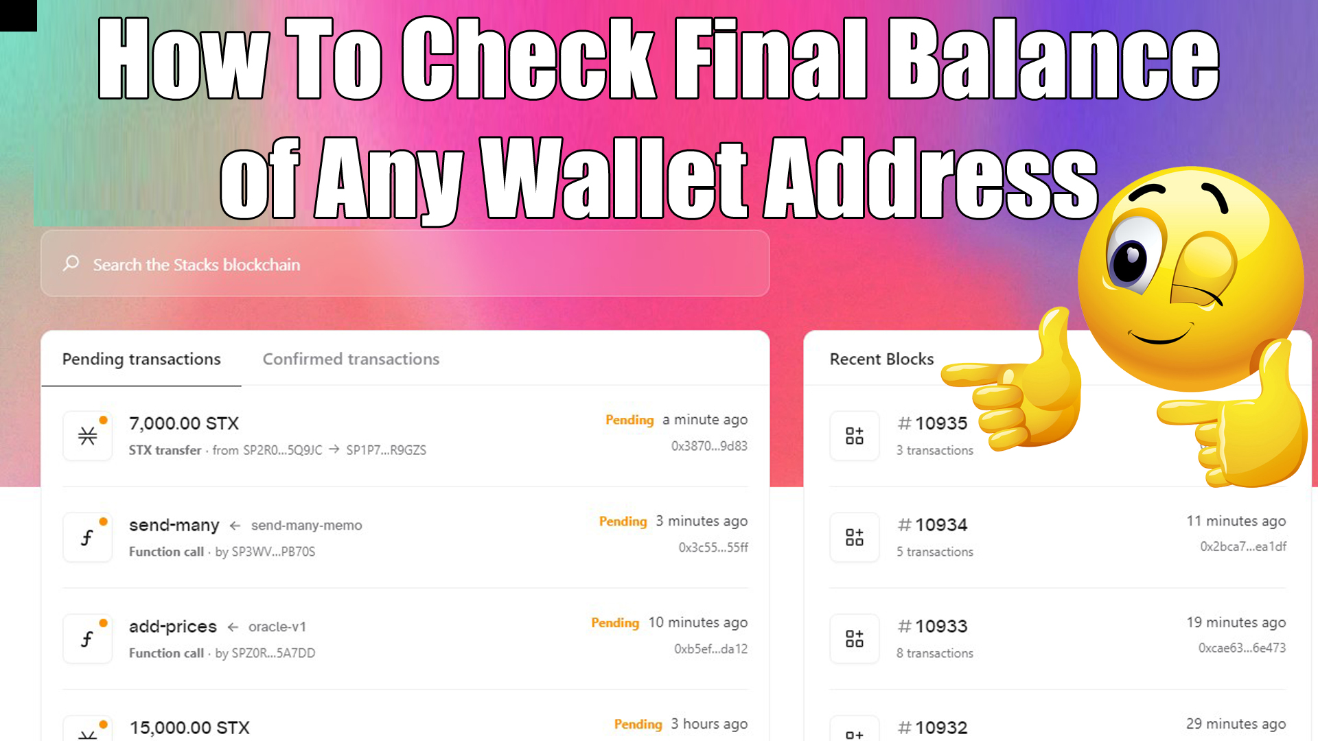 How To Check Final Balance of Any Wallet Address of Stacks ( STX ) by Crypto Wallets Info.jpg
