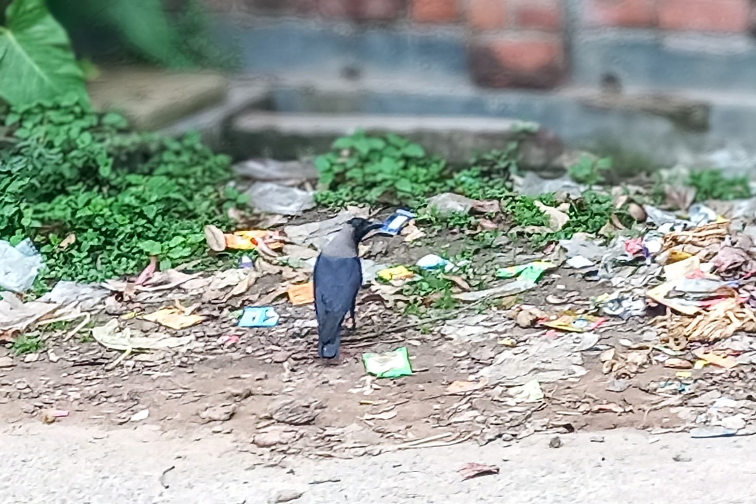 Image_1751026061942~2.jpg