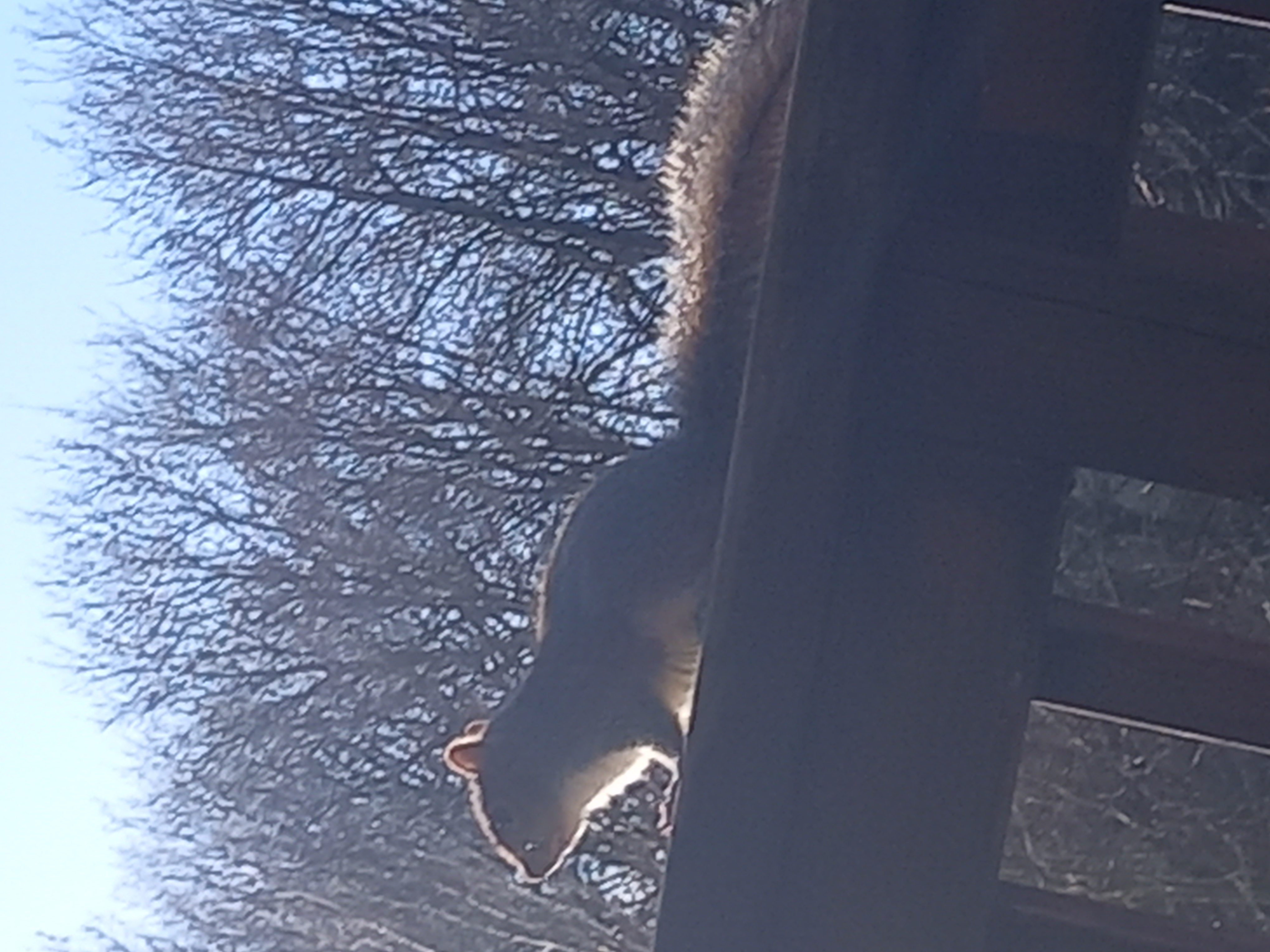 20240126_112314.jpg
