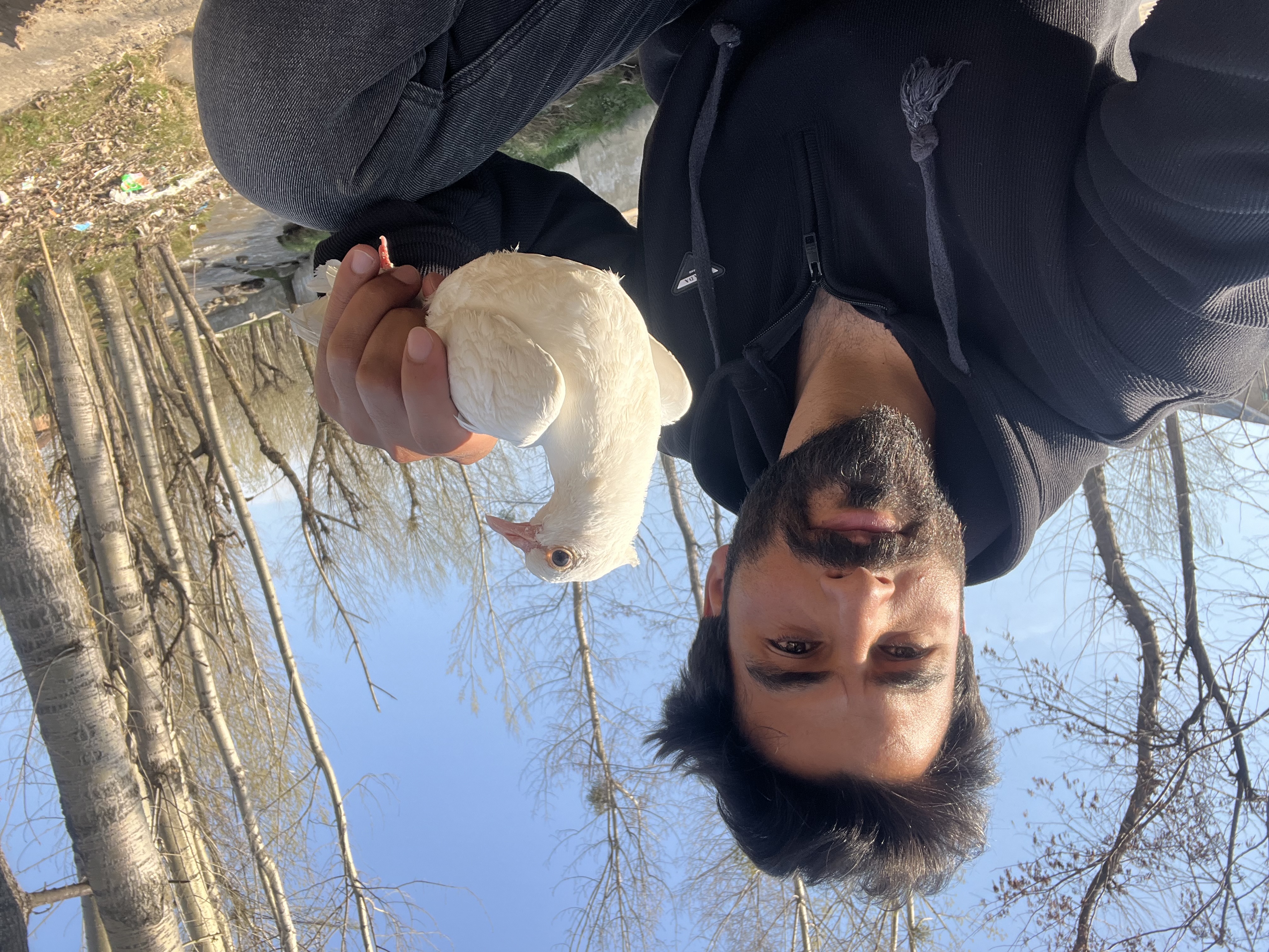 IMG_3114.jpeg