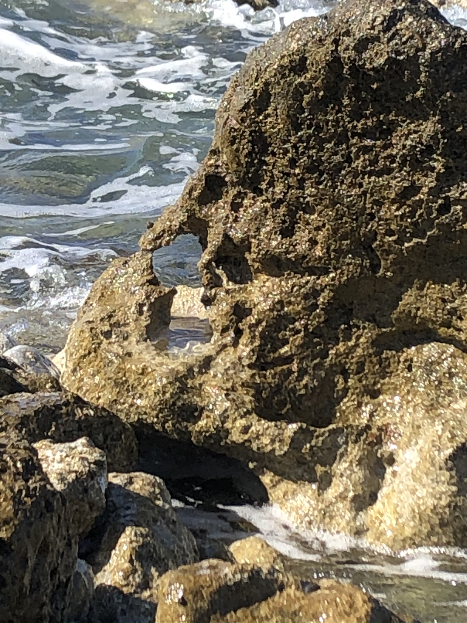 IMG_3559.JPEG
