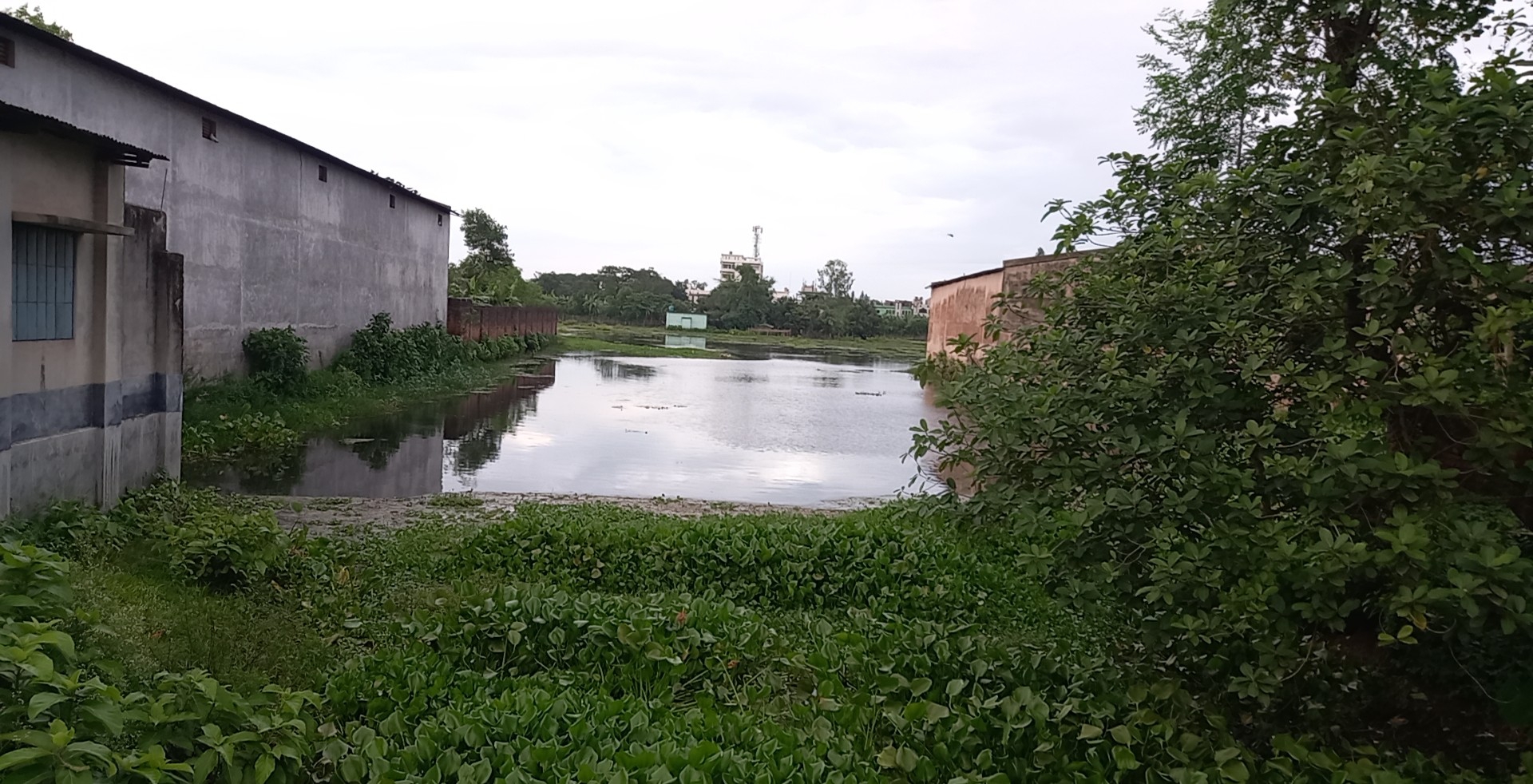 Image_1751026621438.jpg