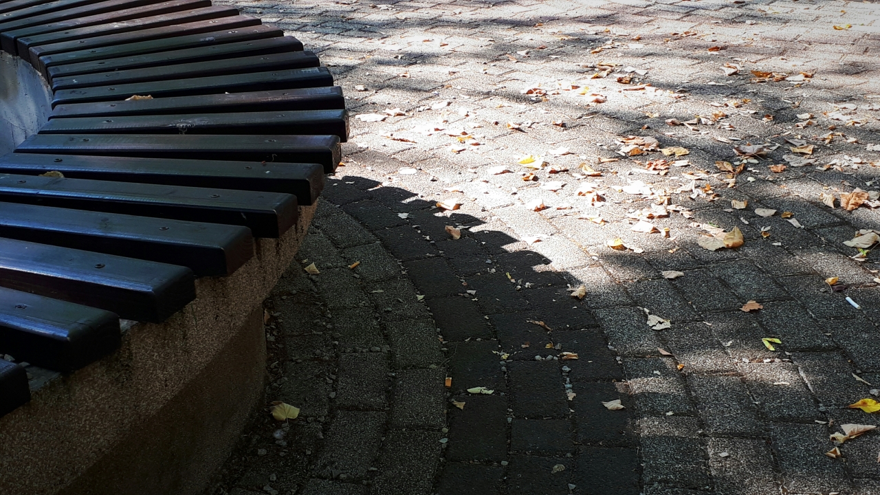 20250808_155736.jpg