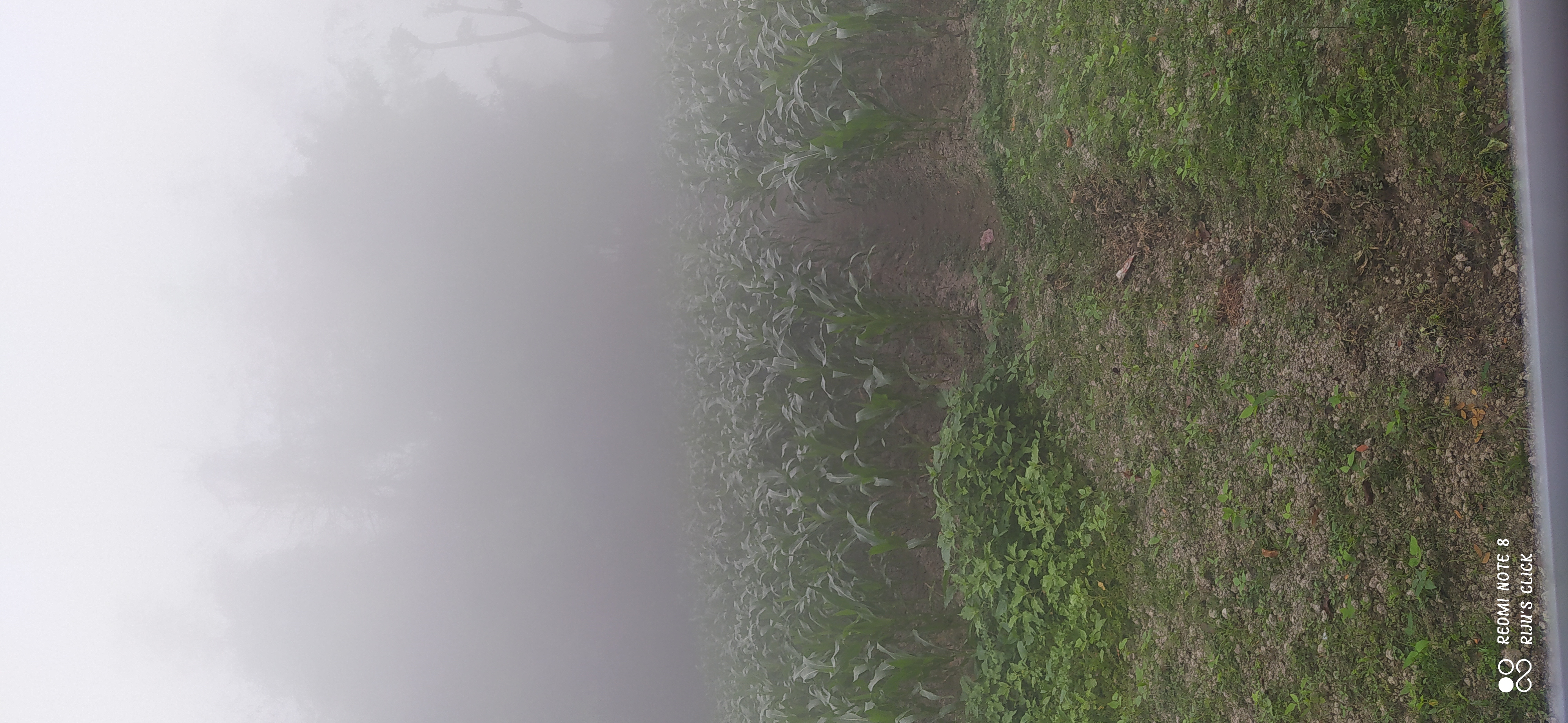 IMG_20250301_072602.jpg