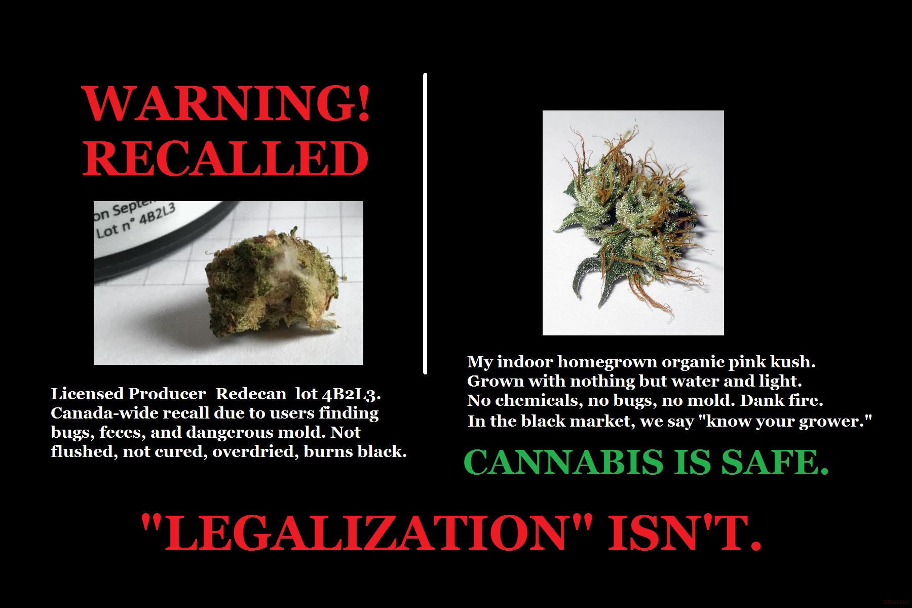 cannabis is safe.png