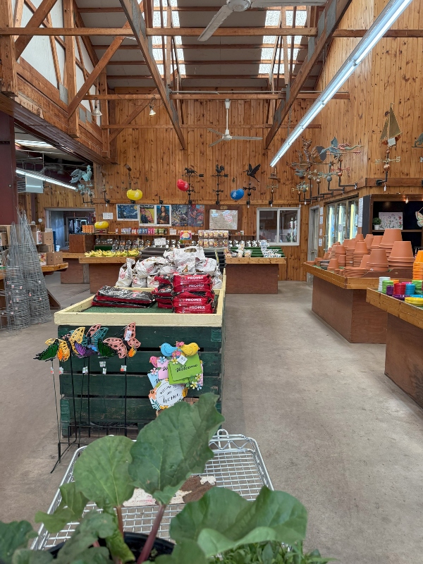 hivegarden-flower-center.jpg
