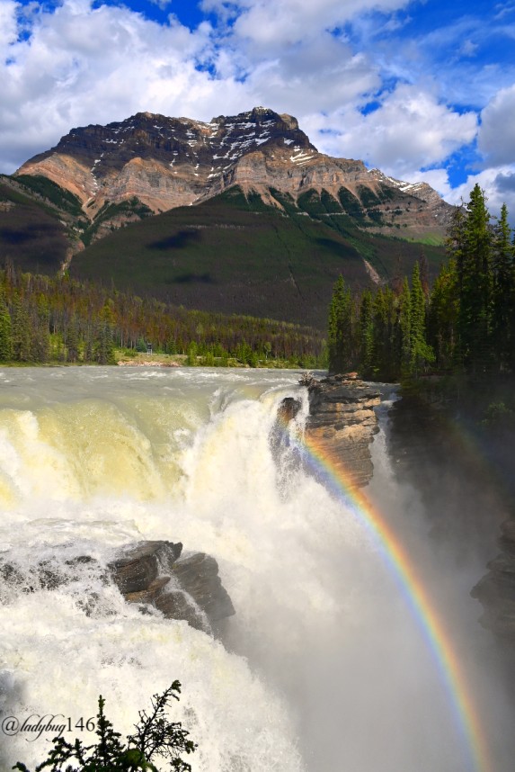 athabasca falls (8) (1).jpg