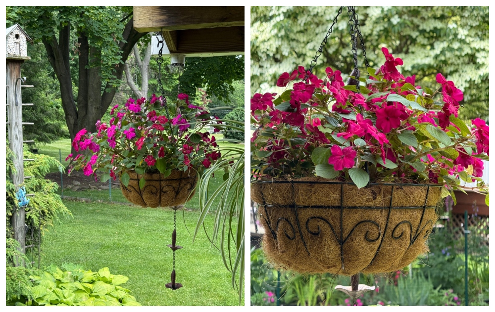 hivegarden-hanging basket-5.jpg