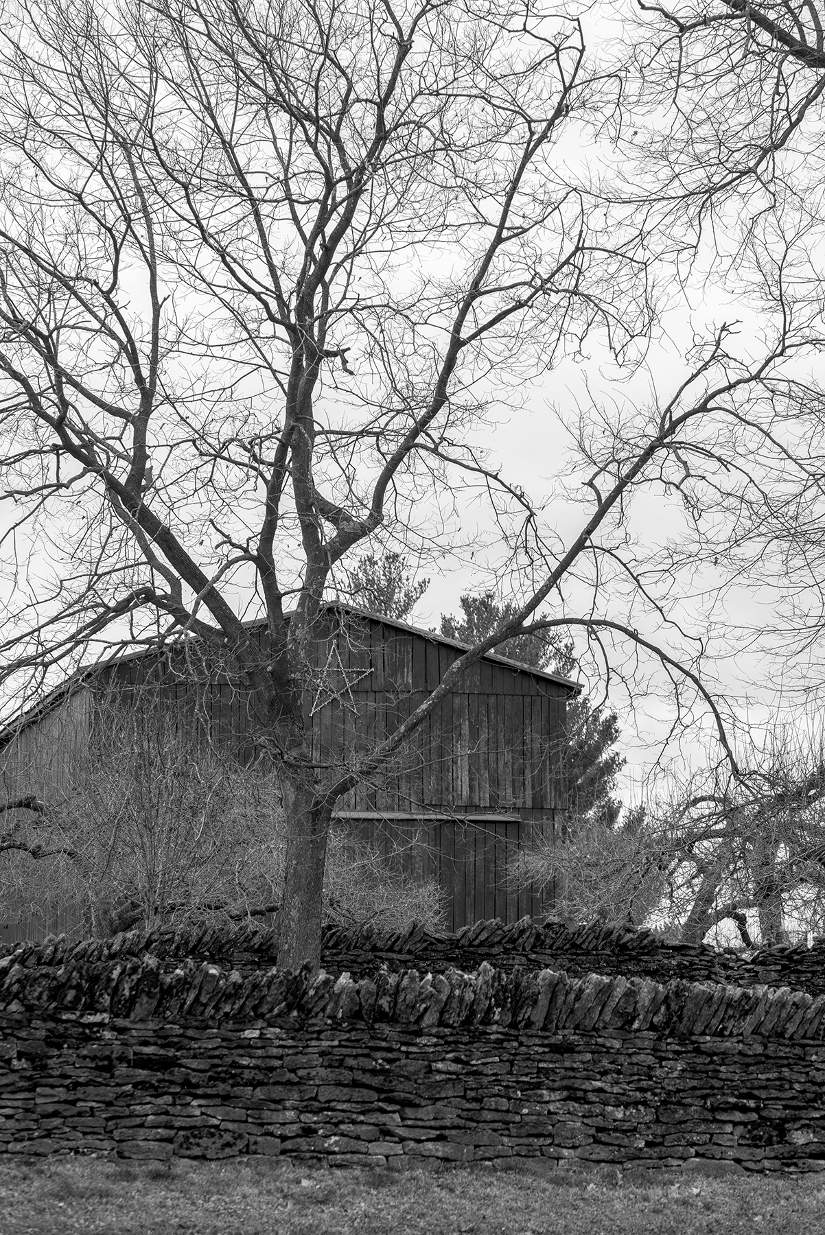 barn and fence.jpg