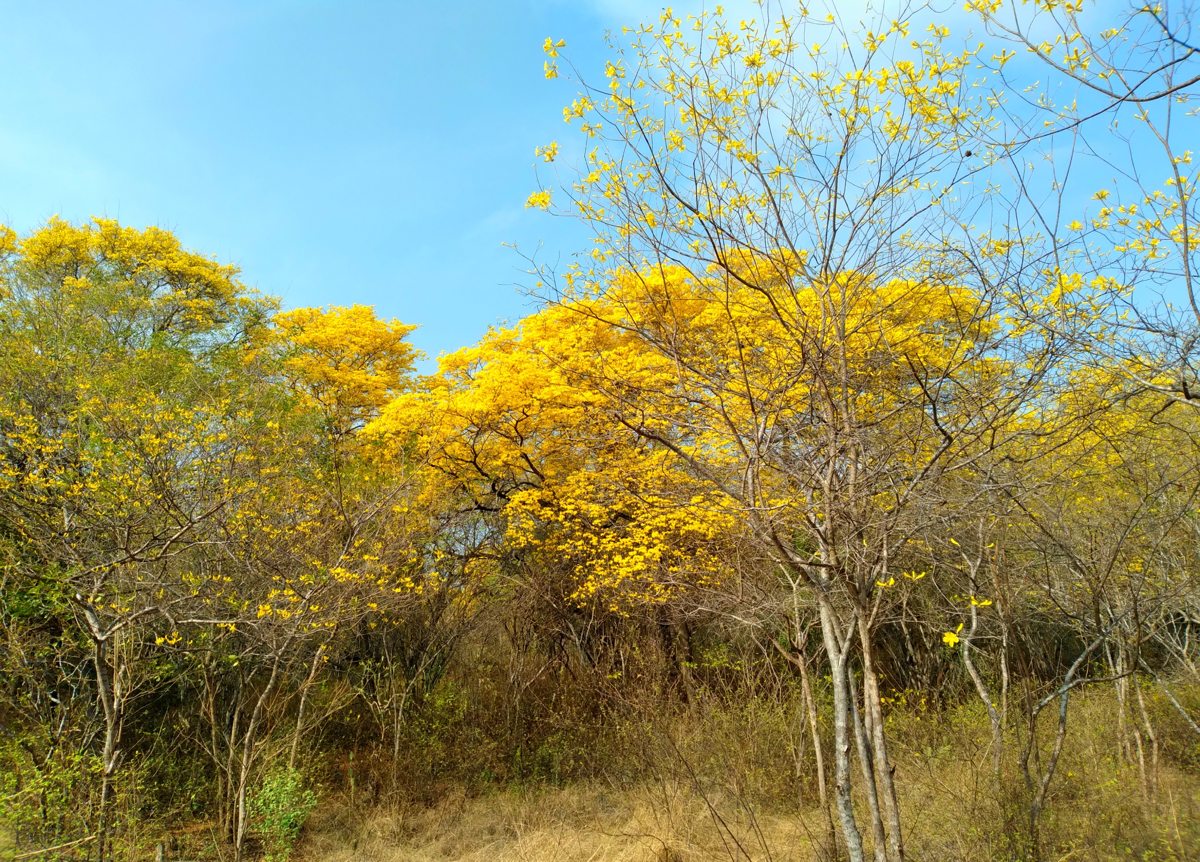 20250321_091159.jpg