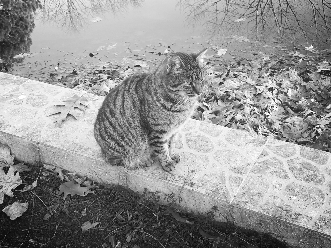 20230108_150159.jpg