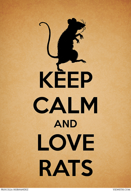 keep calm and love rats - by_.jpg