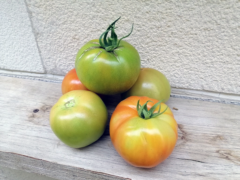 Organic Tomato.jpg