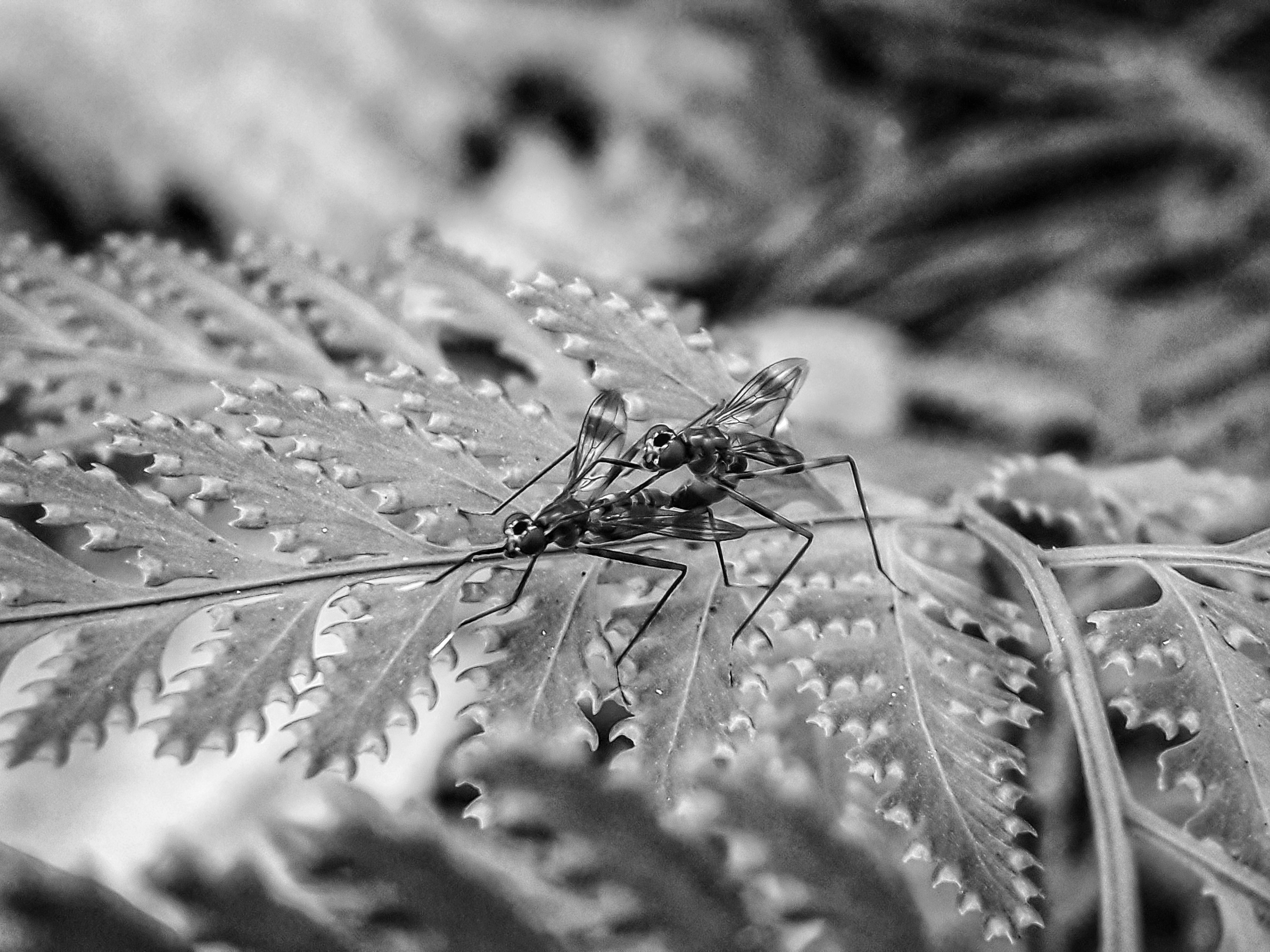 20220417_175311-01-01 (1).jpg