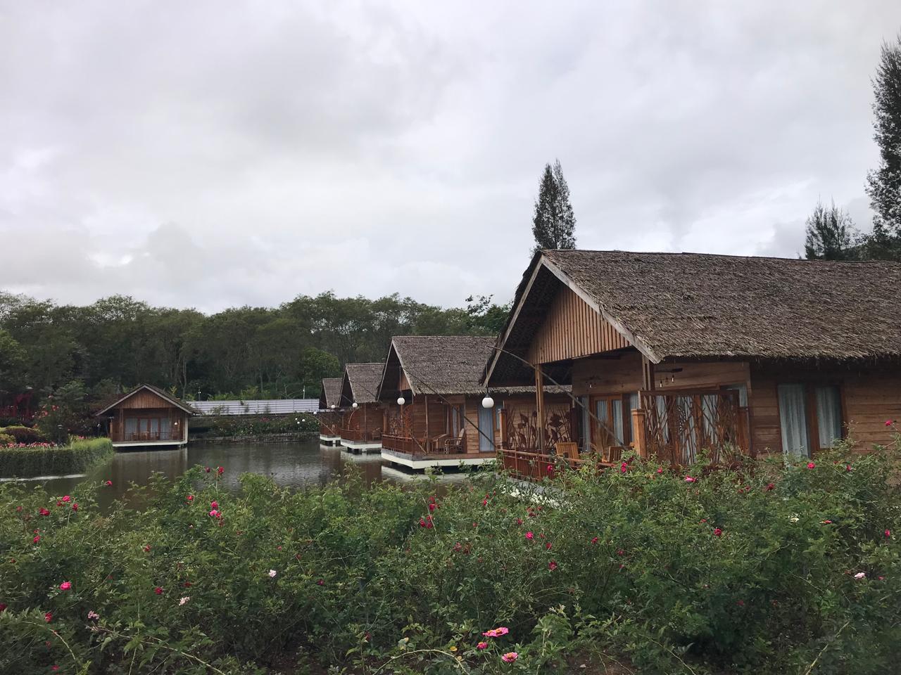IMG-20250817-WA0089.jpg