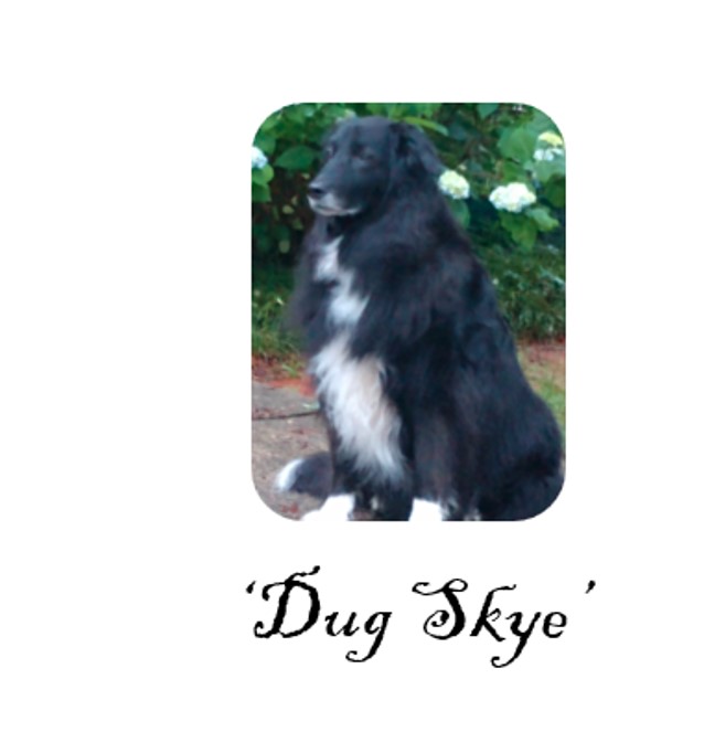 Dug-Skye.jpg