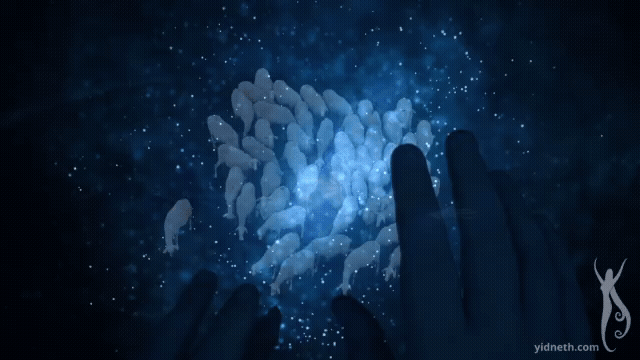And Dream of  Sheep (7).gif