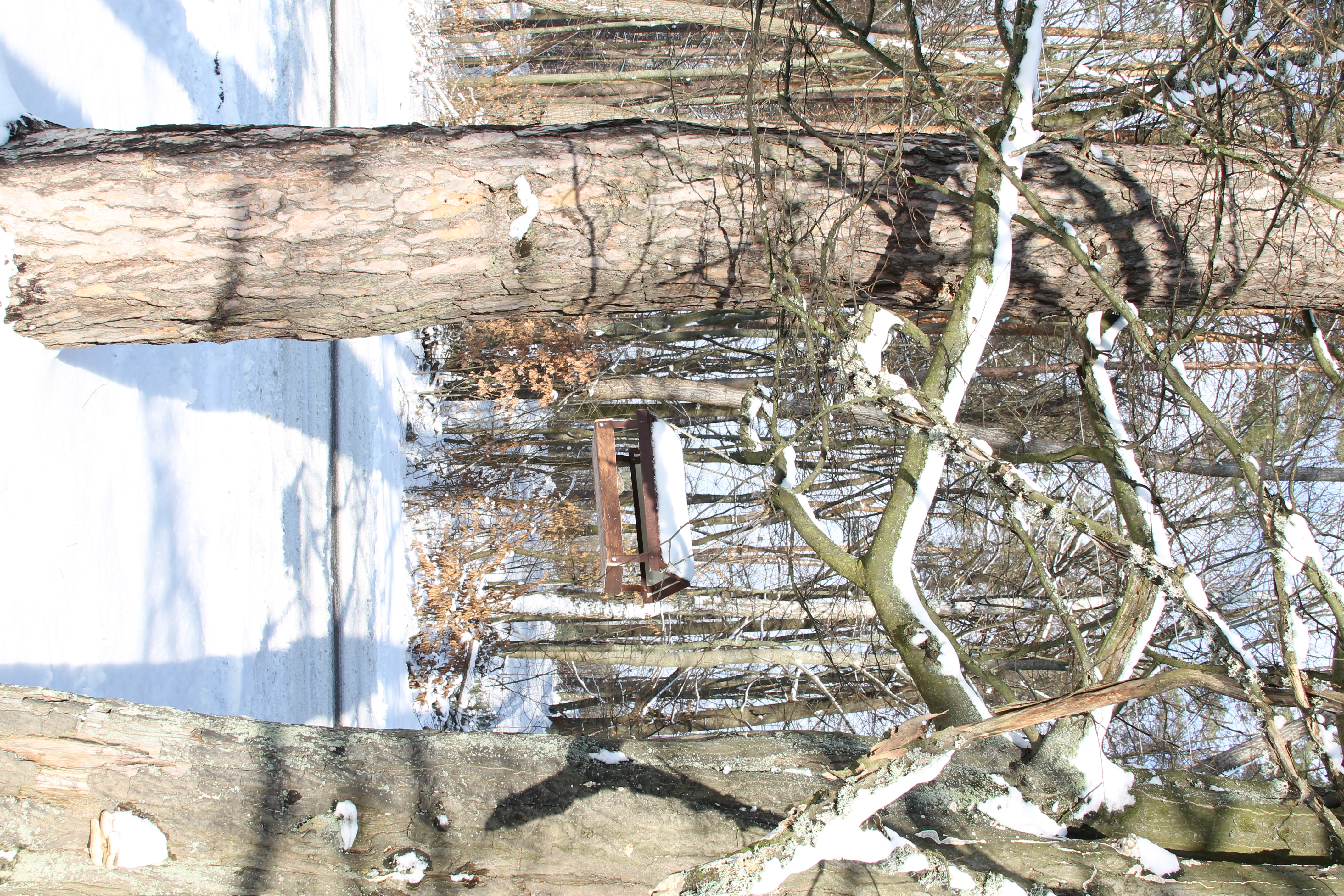 IMG_6645.JPG