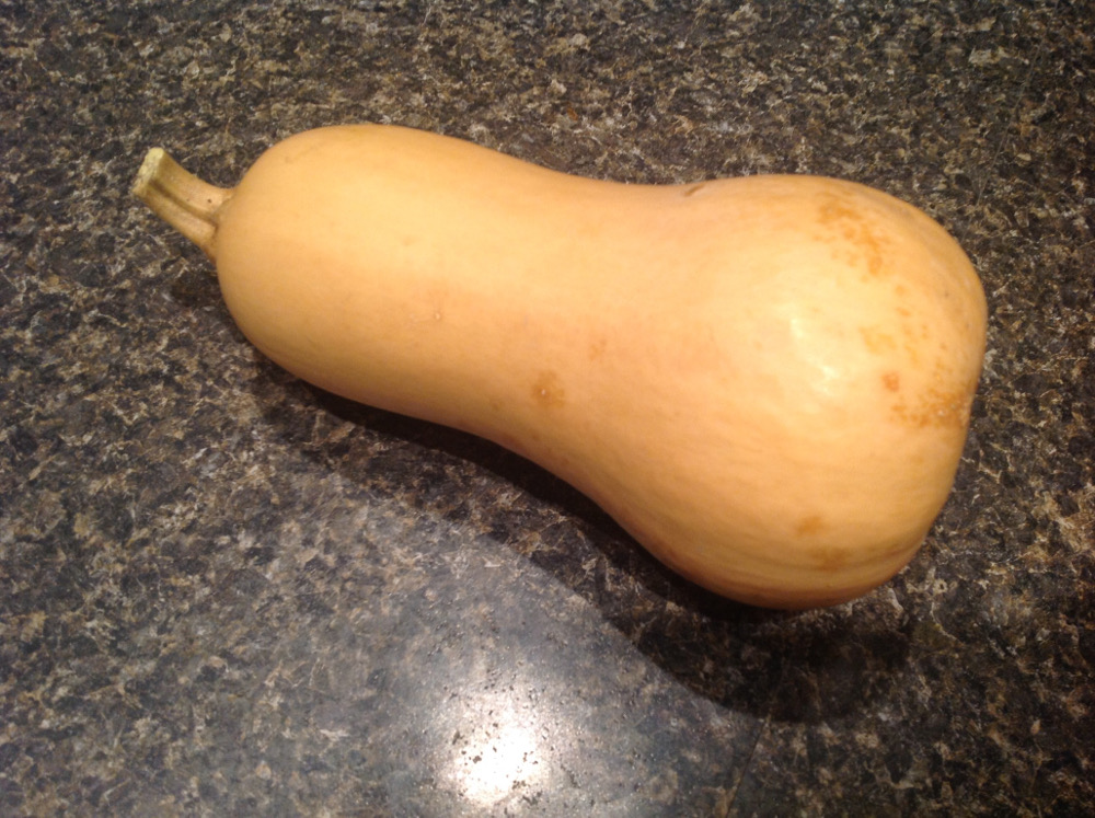 big squash.JPG