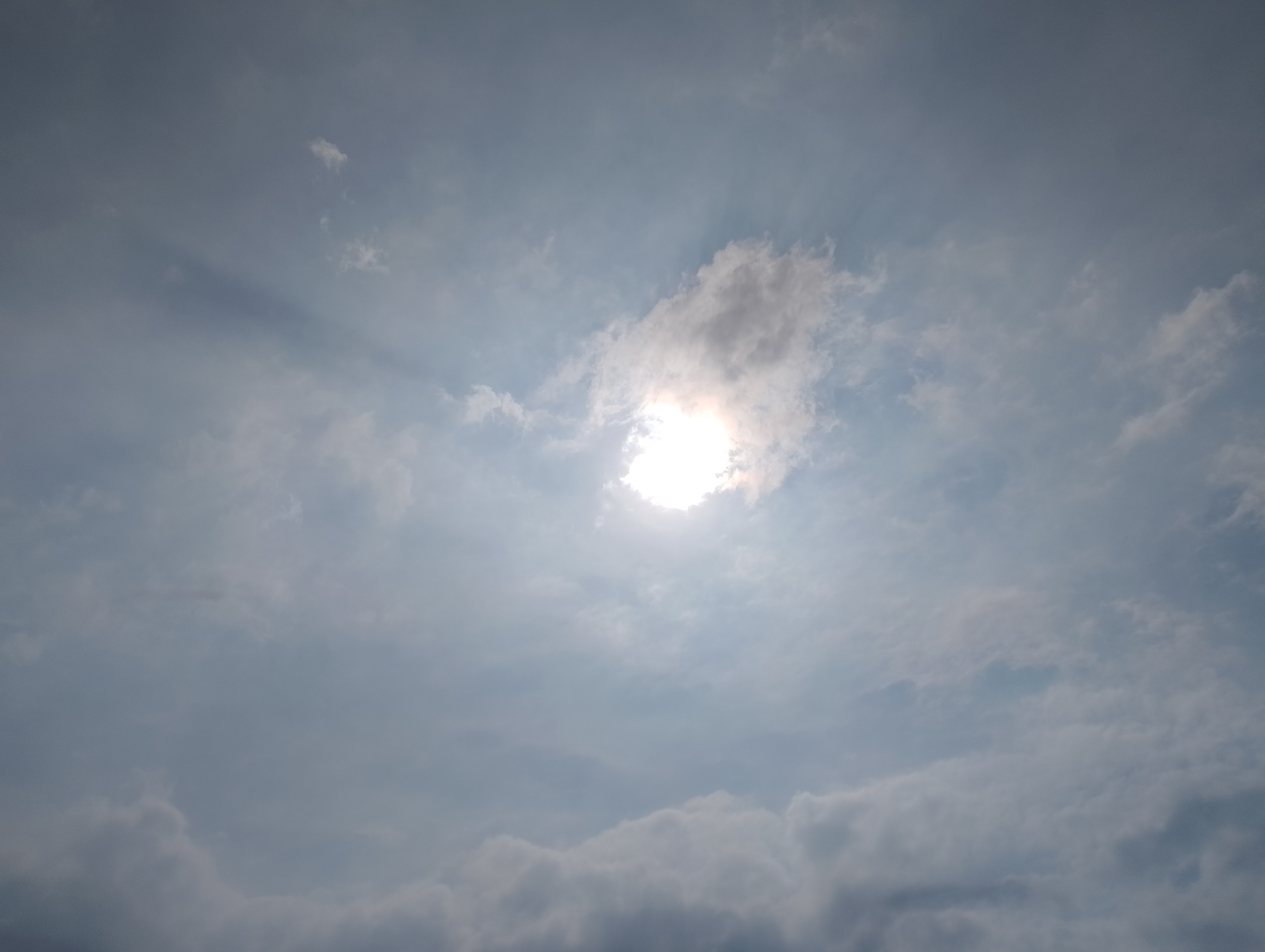 IMG_20250706_153237.jpg