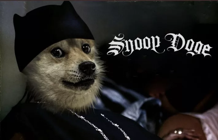 Snoop-doge.webp