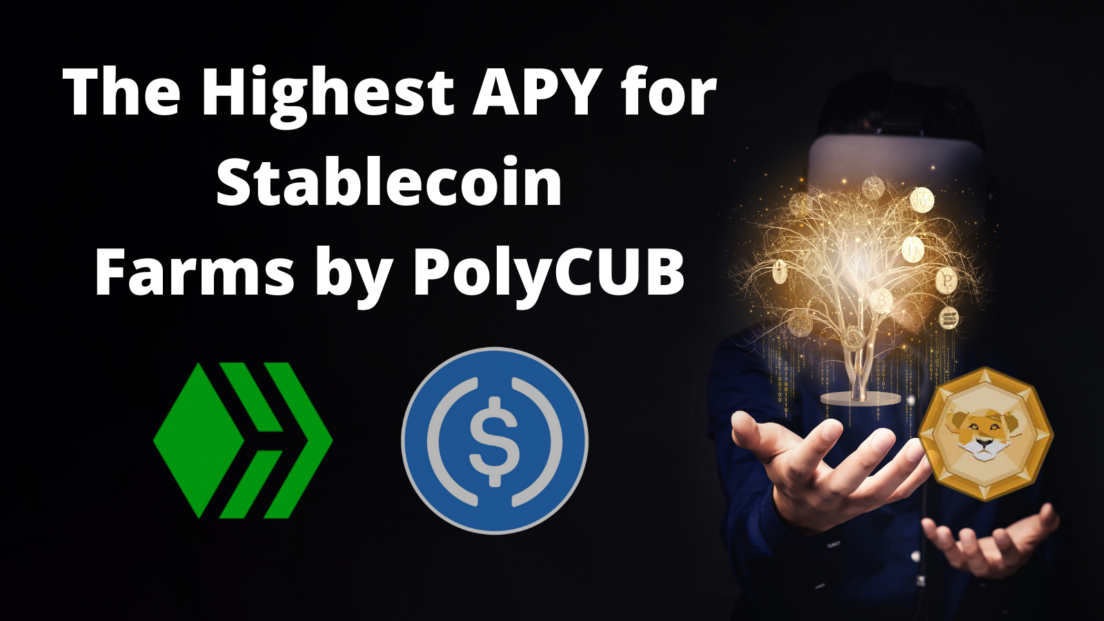 the highest apy for stablecoin farms vault in crypto.png