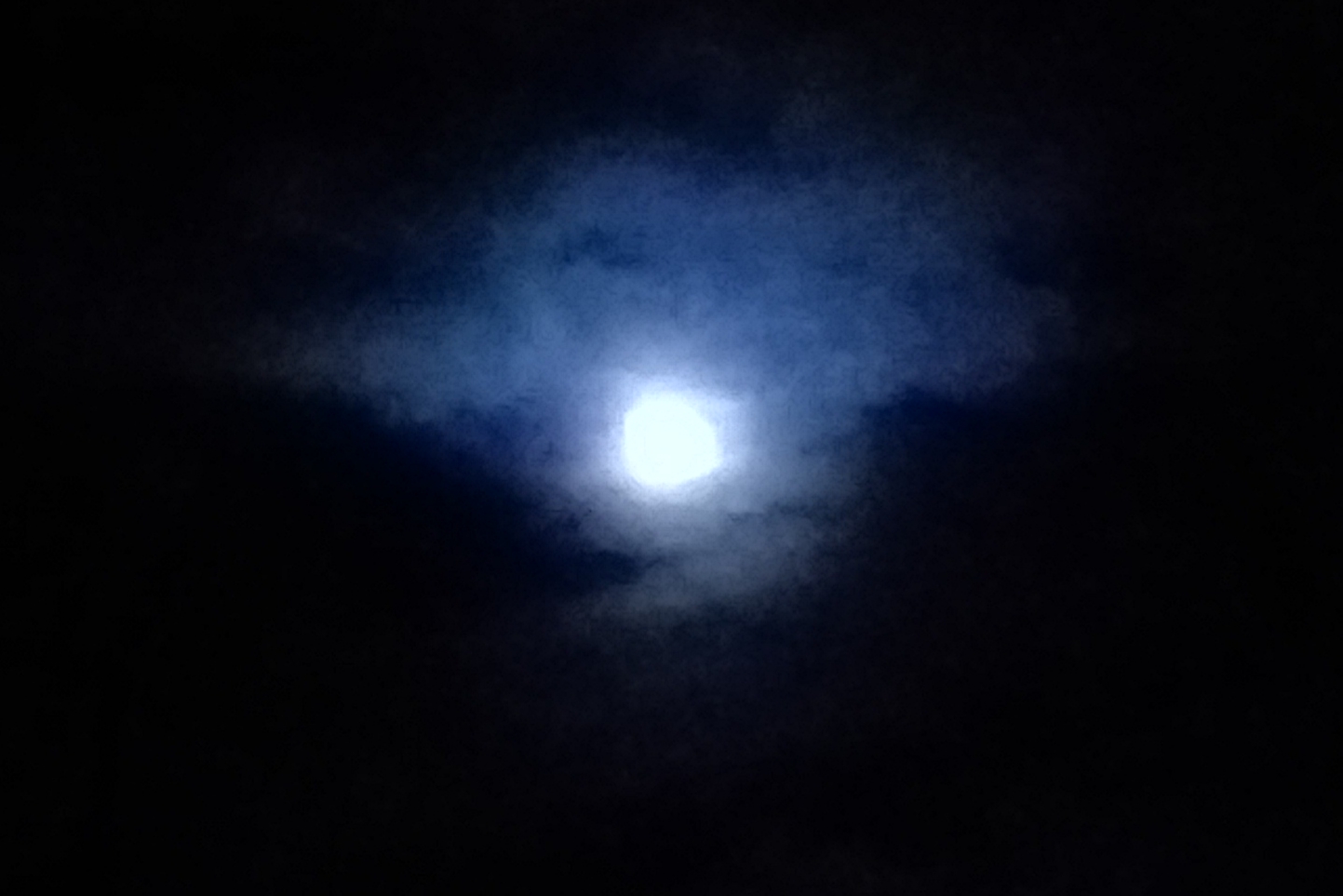 20200908_122642.jpg