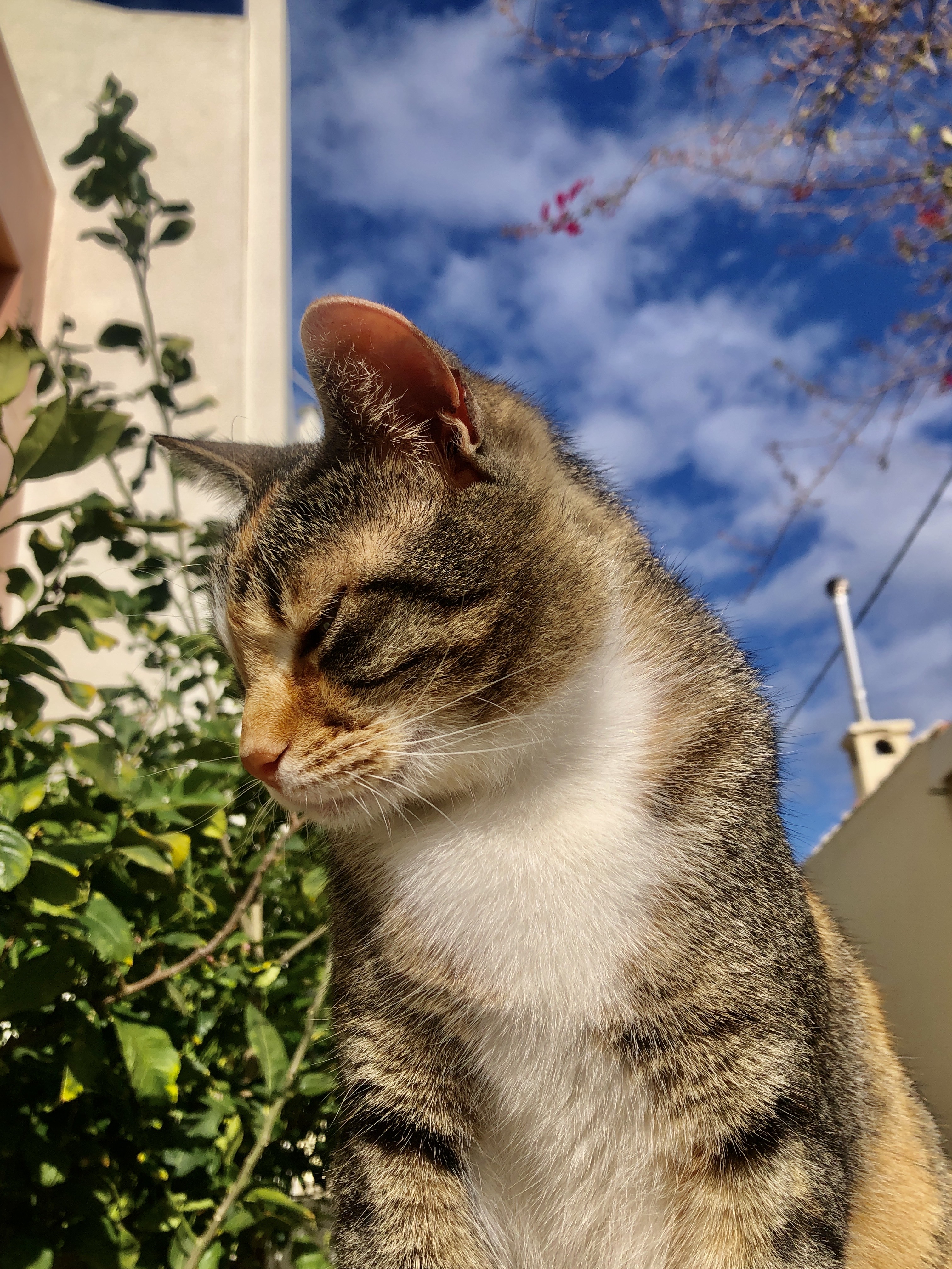 IMG_3276.jpeg