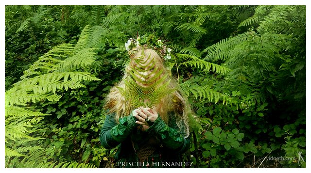 fern (2).jpg