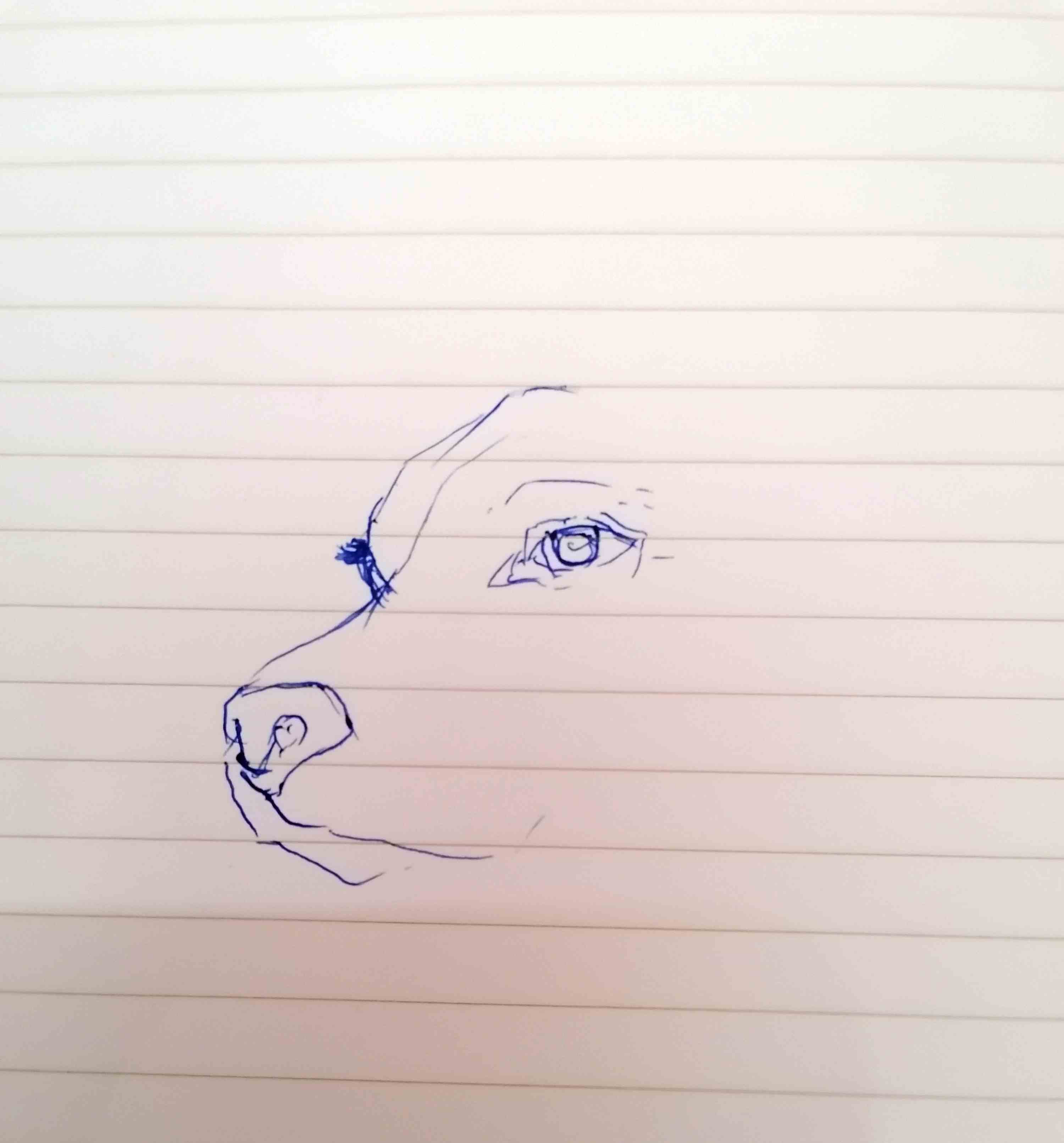 654826420881402540.jpg