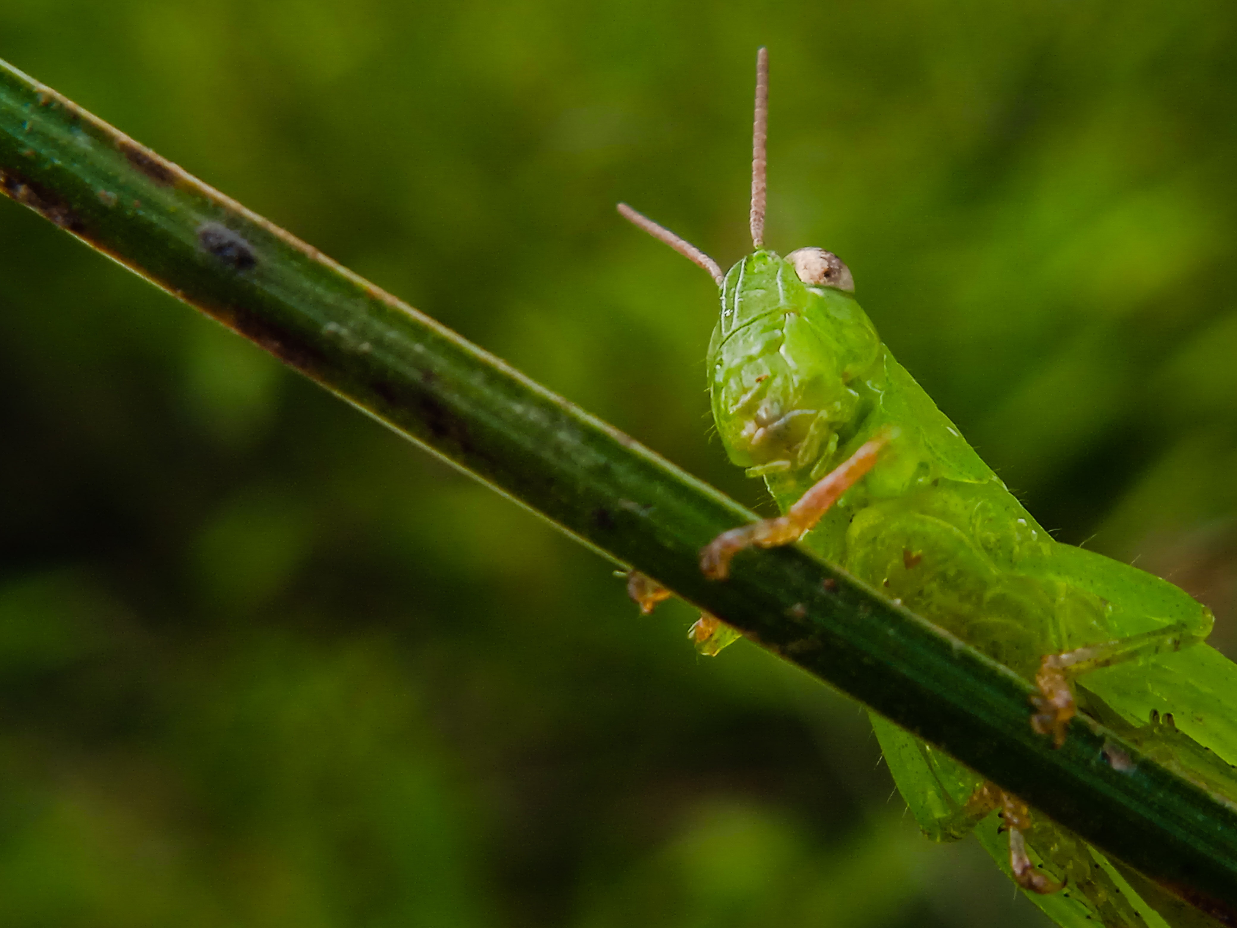 IMG_20220124_235229.jpg