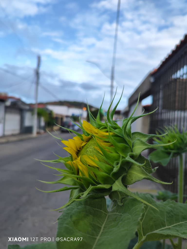 Sin título-3.jpg