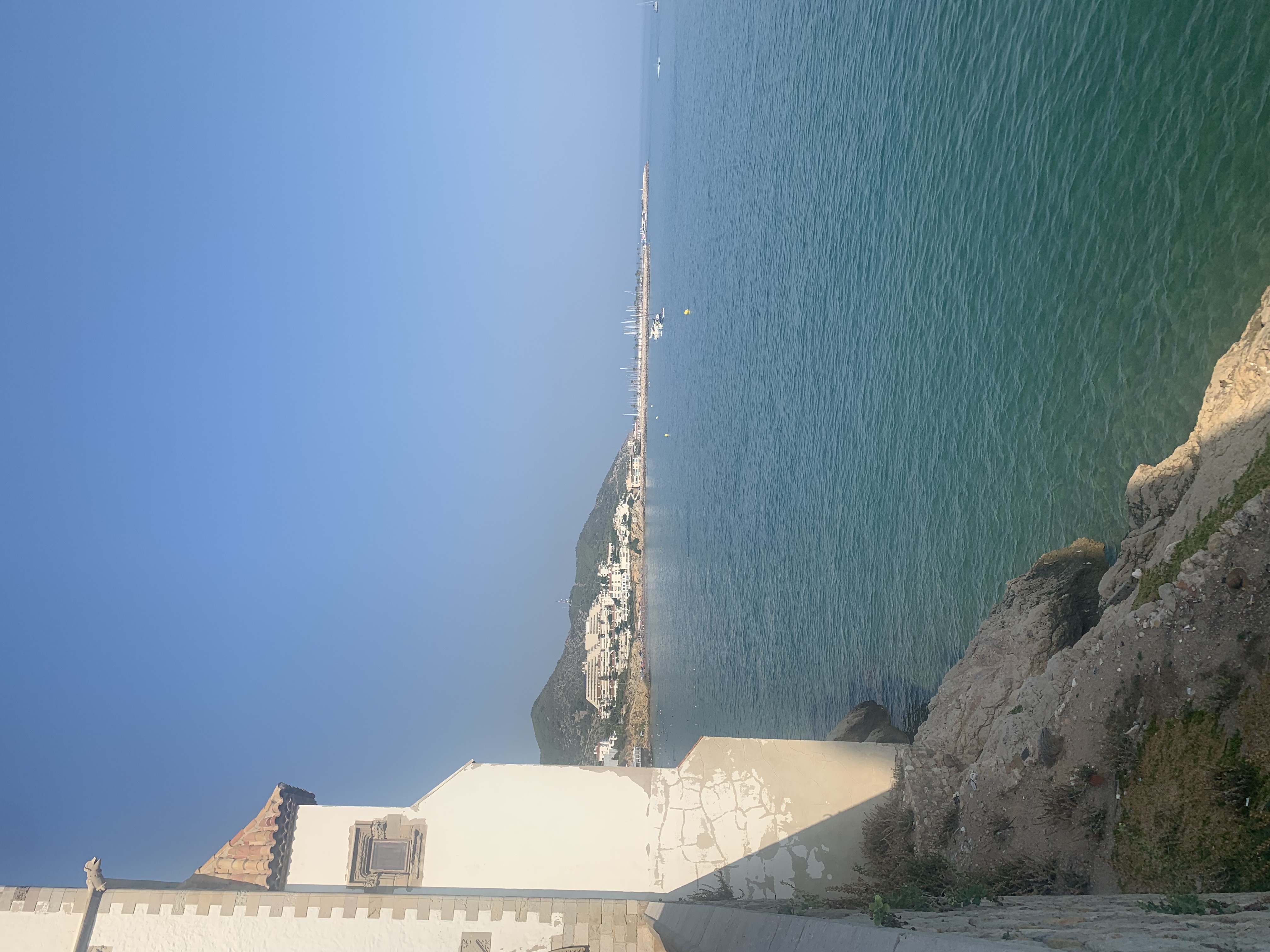 IMG_2046.jpeg