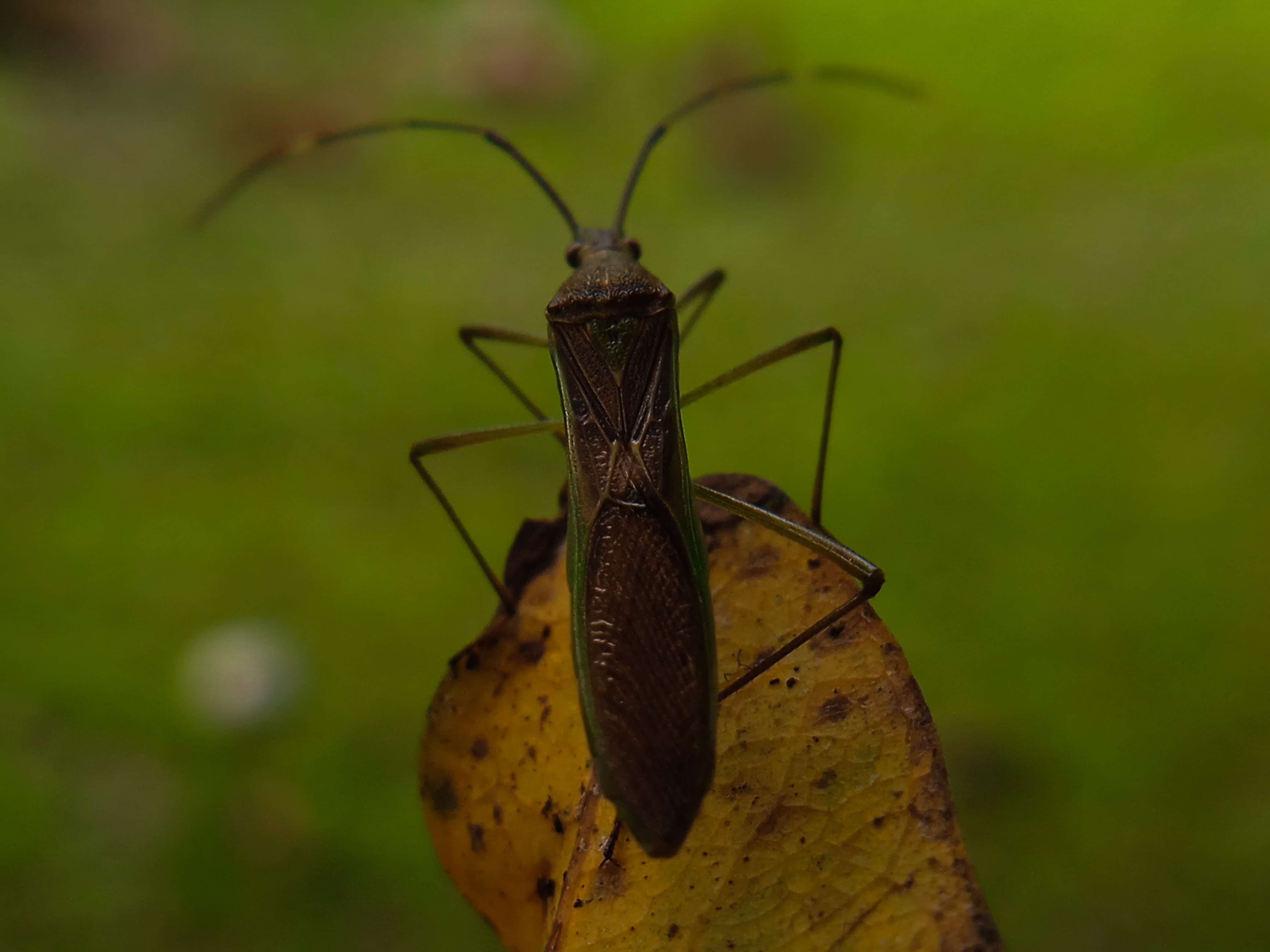IMG_20220125_214211.jpg