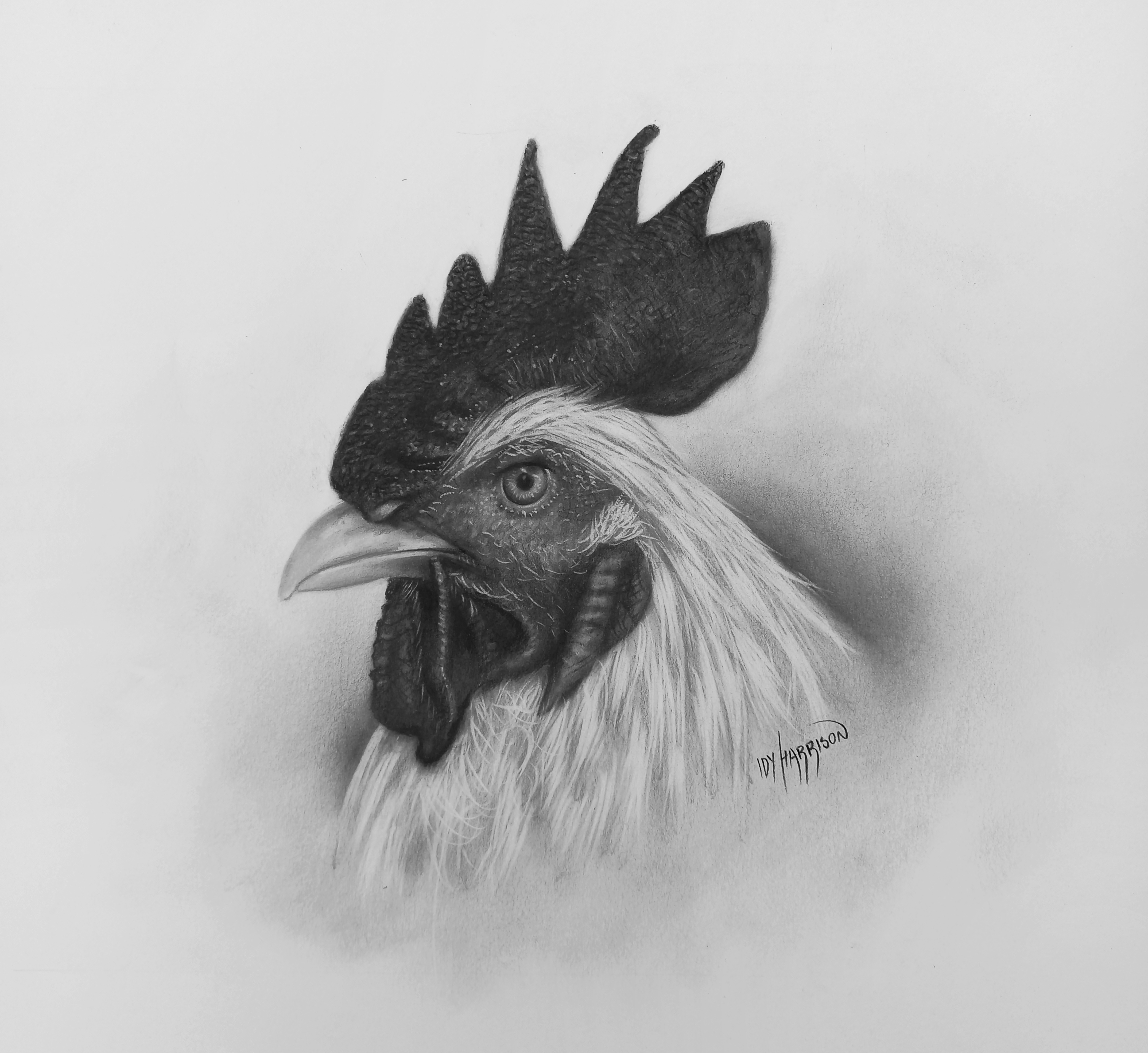 Hen, chicken sketch. Poultry farm, farming concept. Vintage vector  illustration Stock Vector Image & Art - Alamy